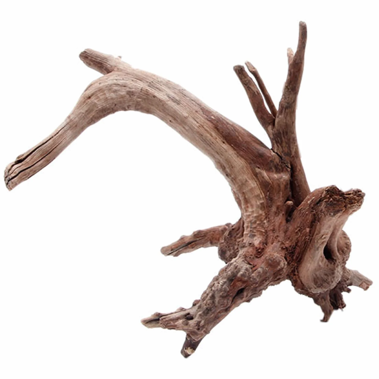 Tronco di Legno Naturale per Acquario, Rami di Pianta Artificiale per Pesci, Ornamento per Decorazione del Serbatoio, Tronco di Pianta 12cm x 19cm x 27cm Lungo