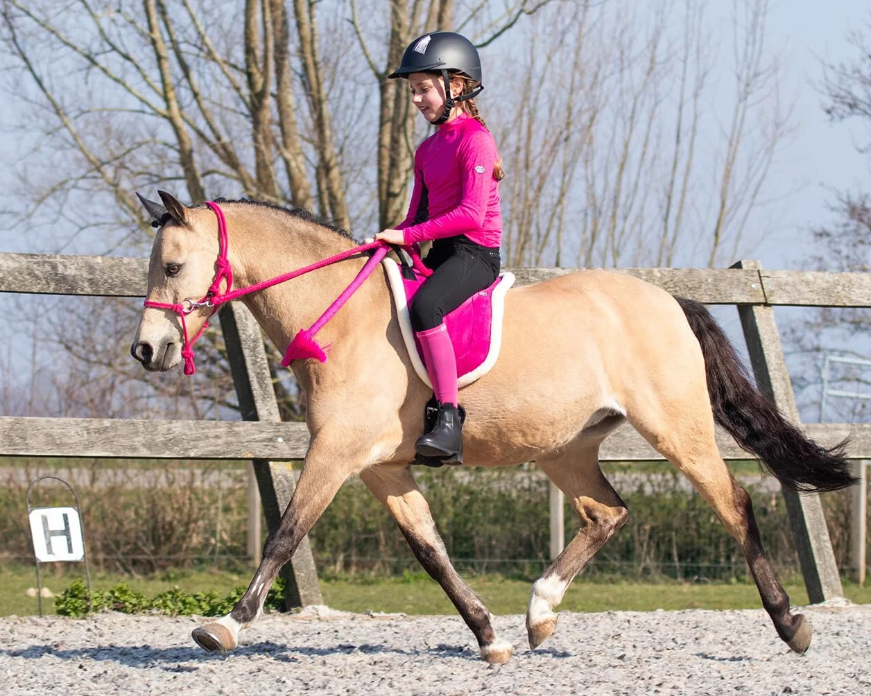 Bareback Pad (sella per monta naturale) (FULL, Fucsia)