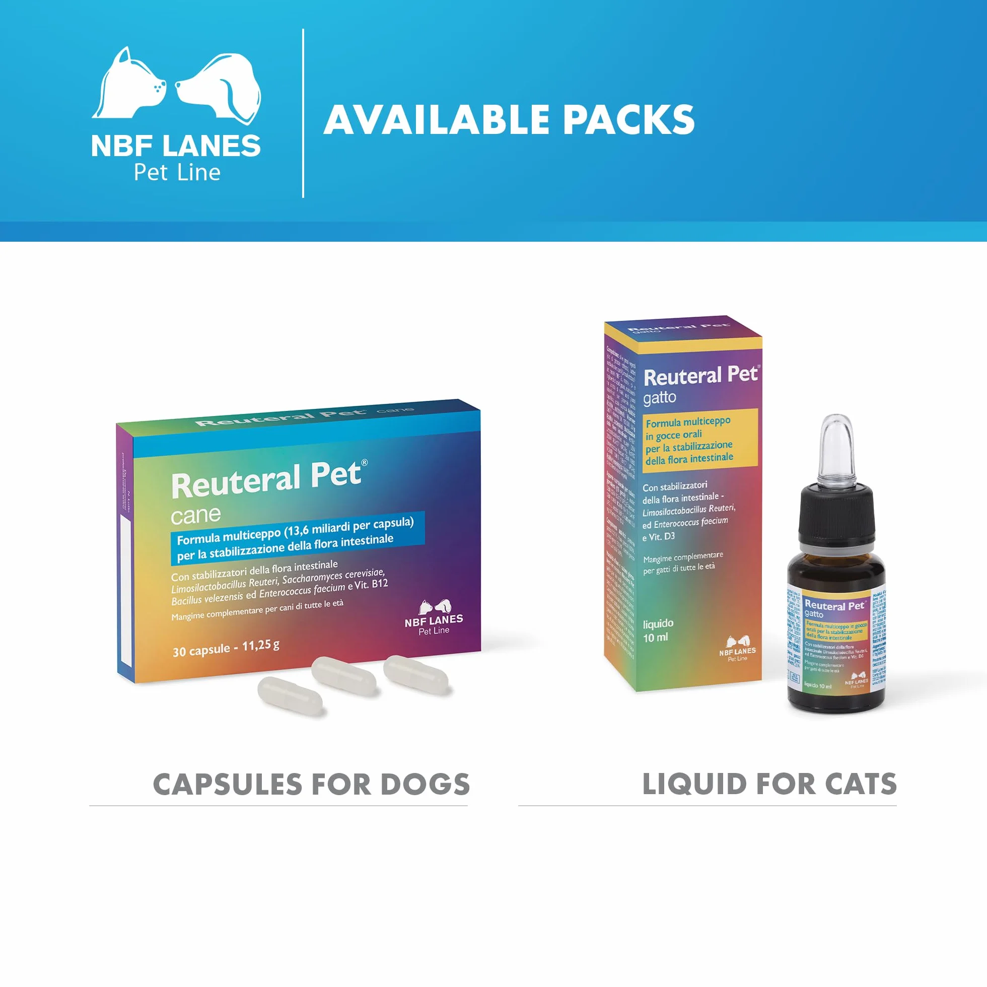 NBF Lanes | Reuteral Pet Gatto, Gocce orali, Probiotico a base di fermenti lattici vivi per la stabilizzazione della Flora intestinale nei Gatti