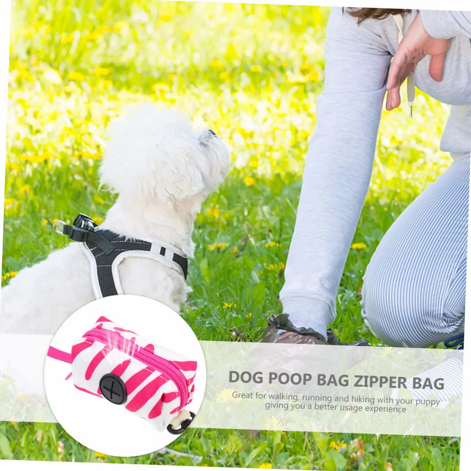 Beavorty 5pezzi Dispenser Portatile per Sacchetti per Escrementi Cane Sacchetti per Accessorio per e Escursioni