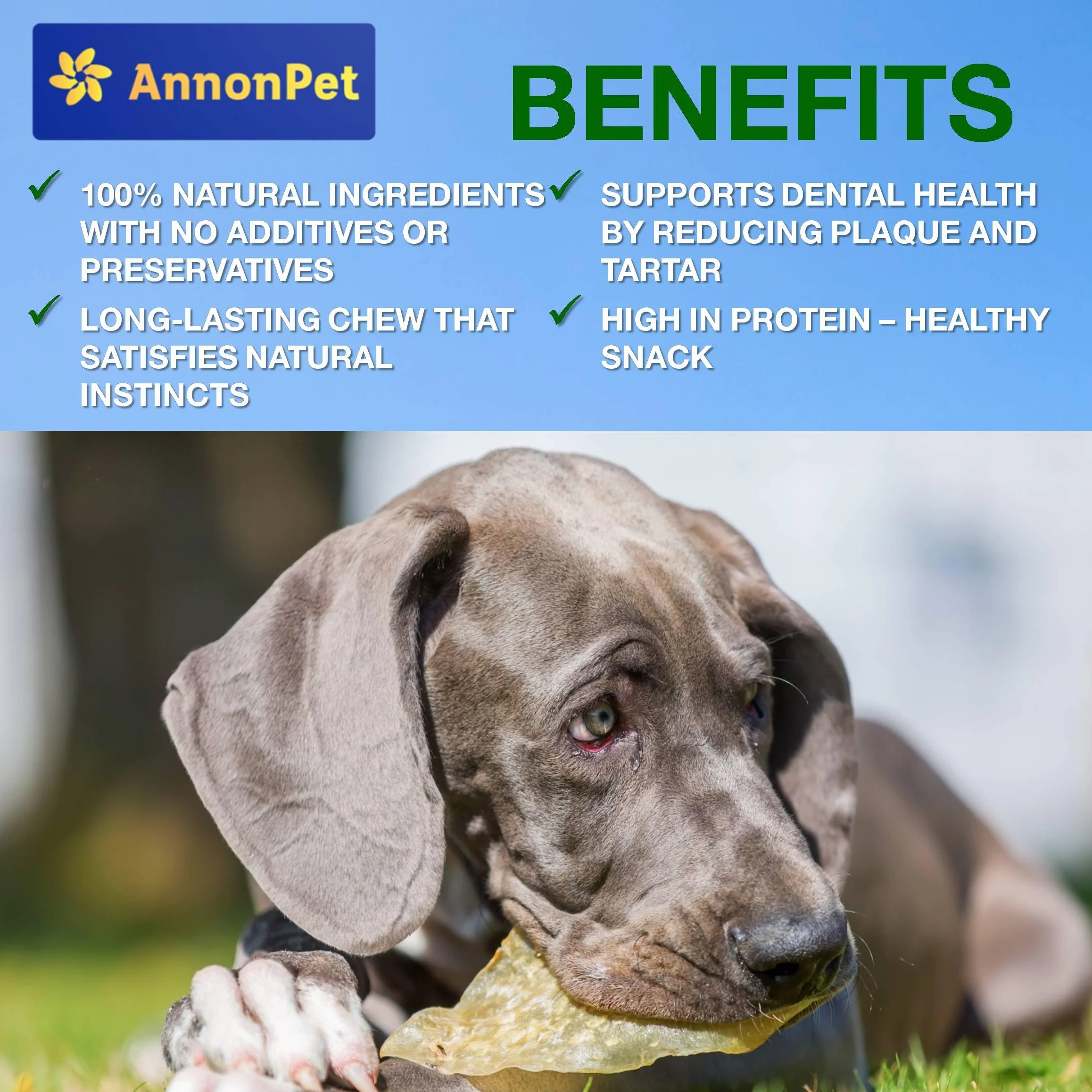Orecchie di Maiale Essiccate per Cani – 10 Pezzi Naturali – Snack Masticativo Naturale e Gustoso – Ricco di Proteine – Senza Additivi – Ideali per Tutte le Taglie