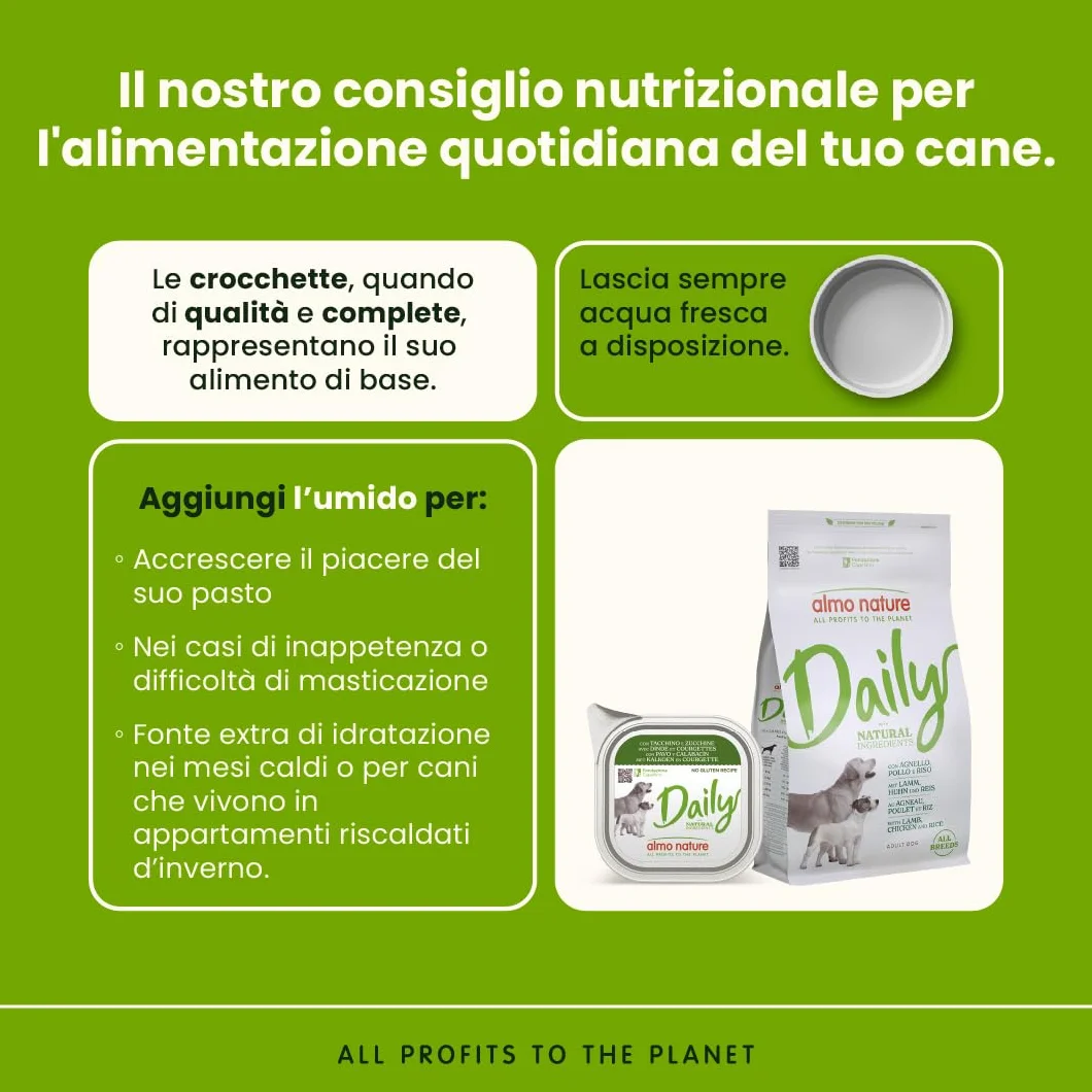 Almo Nature Daily, Alimento Umido per Cani Adulti con Tacchino e Zucchine - 100g, Confezione da 32