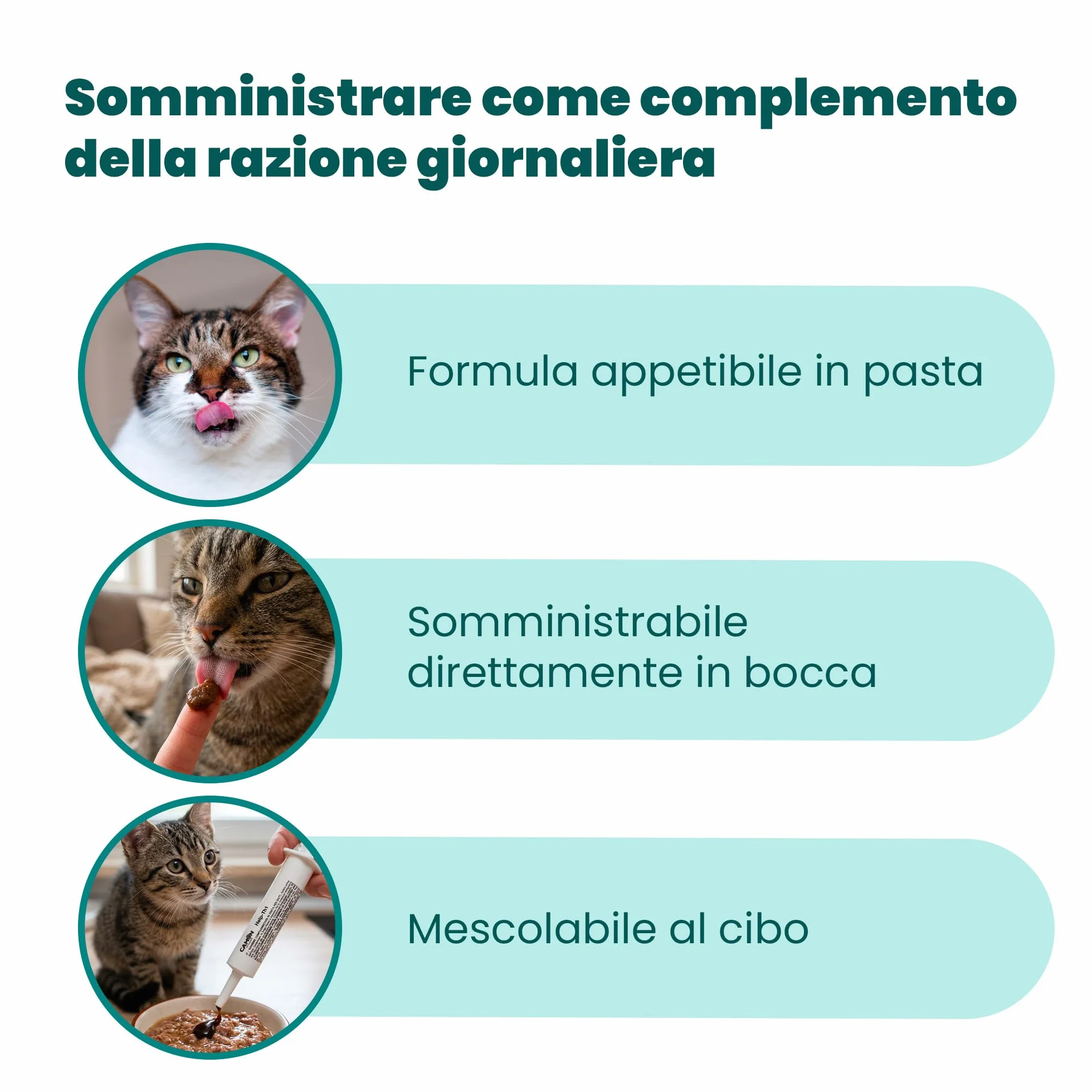 CAMON | HELP-TH1 Pasta in Siringa, Alimento Complementare per Sostenere le Difese Immunitarie di Gatti, 30g