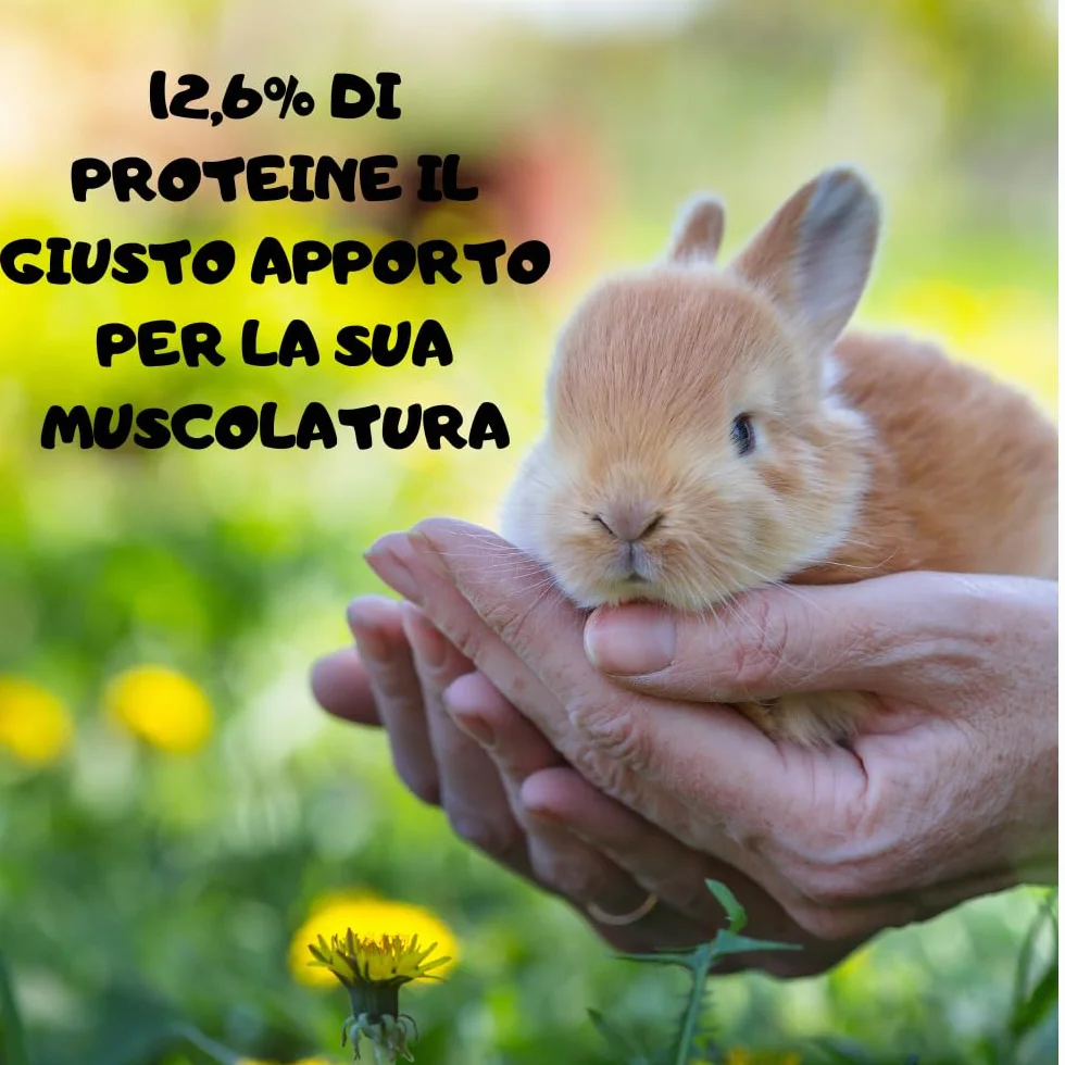 Badia Mangime per Coniglio: Confezione da 10 kg di Nutrizione Equilibrata per Conigli e Conigli Nani, il Cibo Essenziale per il Benessere dei tuoi Piccoli Amici!
