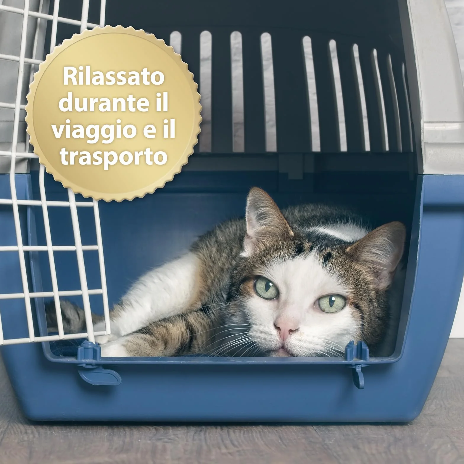 Felisept Home Comfort Spray Calmante Per L'Ambiente 100 ml - Con erba gatta naturale senza feromoni gatto - Benessere E Relax Per Il Gatto - Spray calmante gatto - Tranquillanti gatto