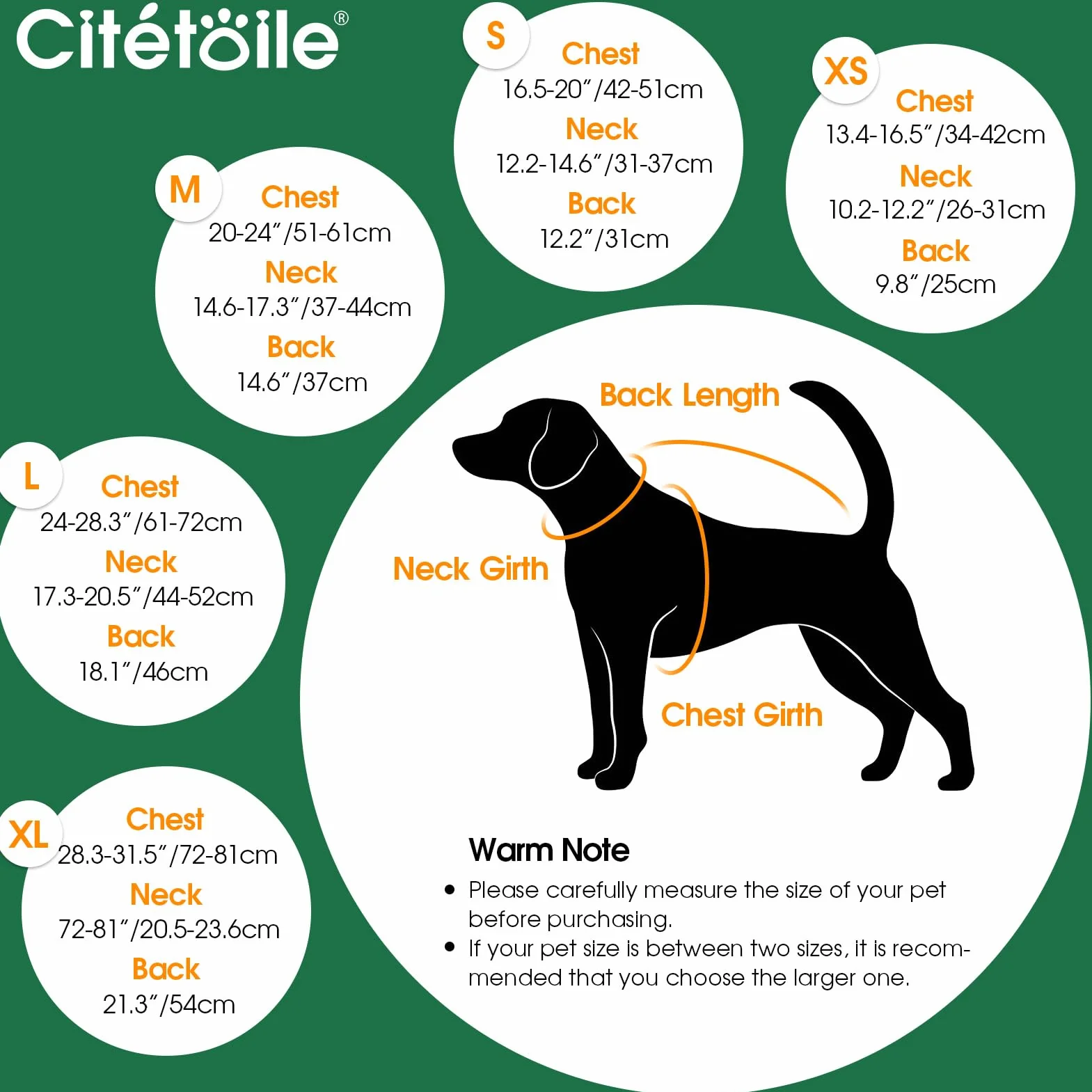 CITÉTOILE Cappotto Invernale per Cani - Gilet Termico con Lana Spessa, Giacca Antivento per Chihuahua e Razze Piccole/Medie/Grandi, Foro con Corda di Trazione, Verde, S