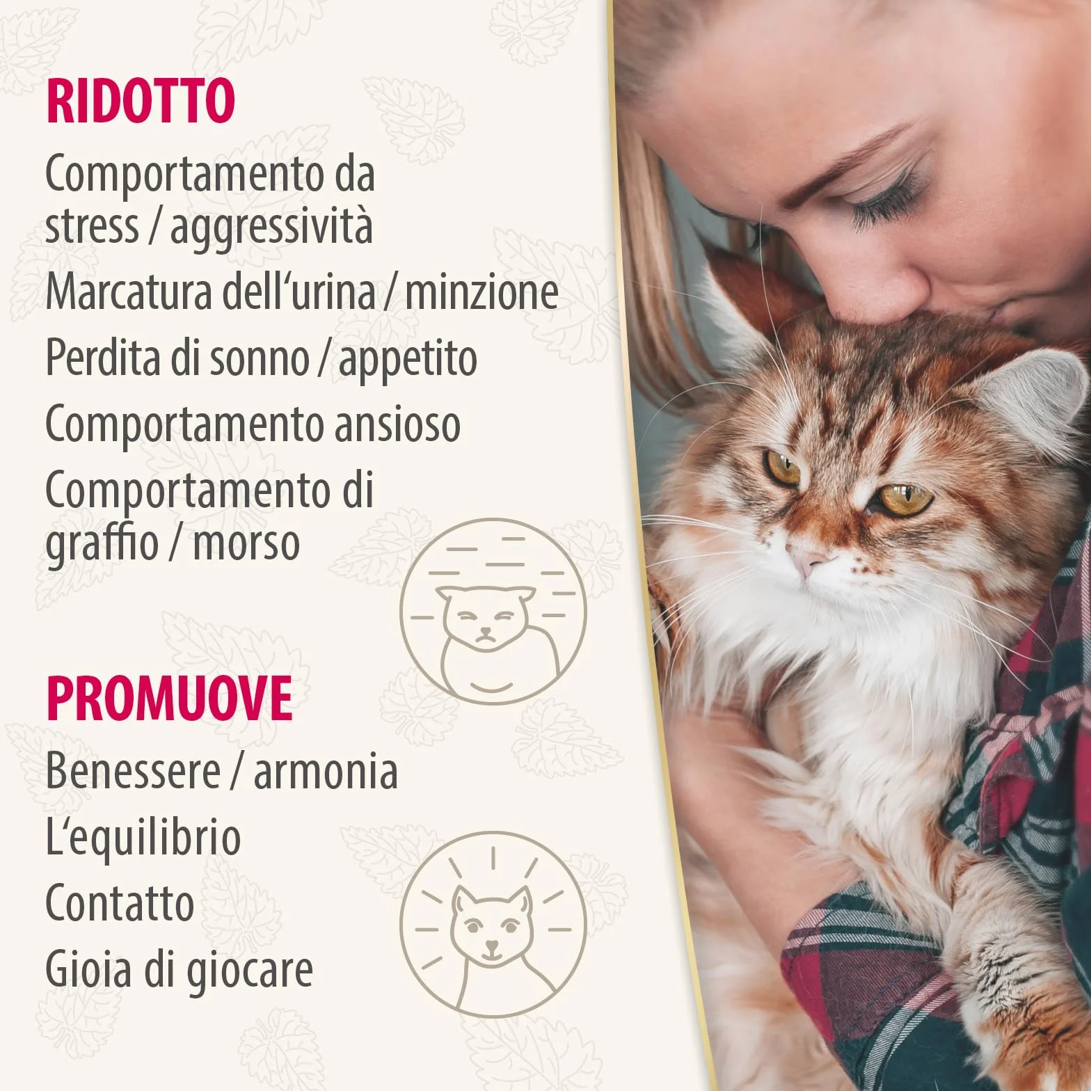 Felisept Home Comfort Spray Calmante Per L'Ambiente 100 ml - Con erba gatta naturale senza feromoni gatto - Benessere E Relax Per Il Gatto - Spray calmante gatto - Tranquillanti gatto