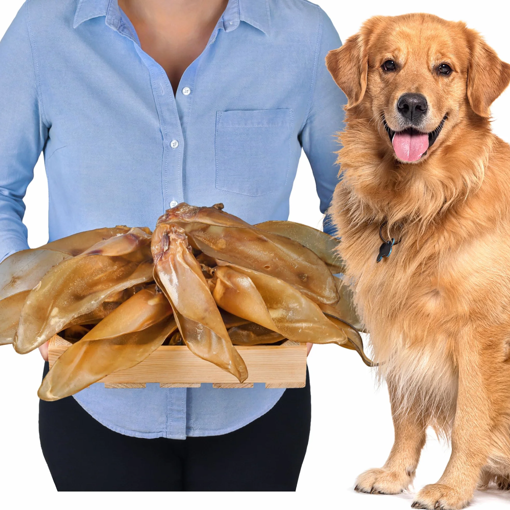 Orecchie di manzo naturali con conchiglie per cani, 10 pezzi (700 g) | Snack naturale indiano al 100% di manzo | Lungo piacere di masticazione e cura dei denti | Senza additivi