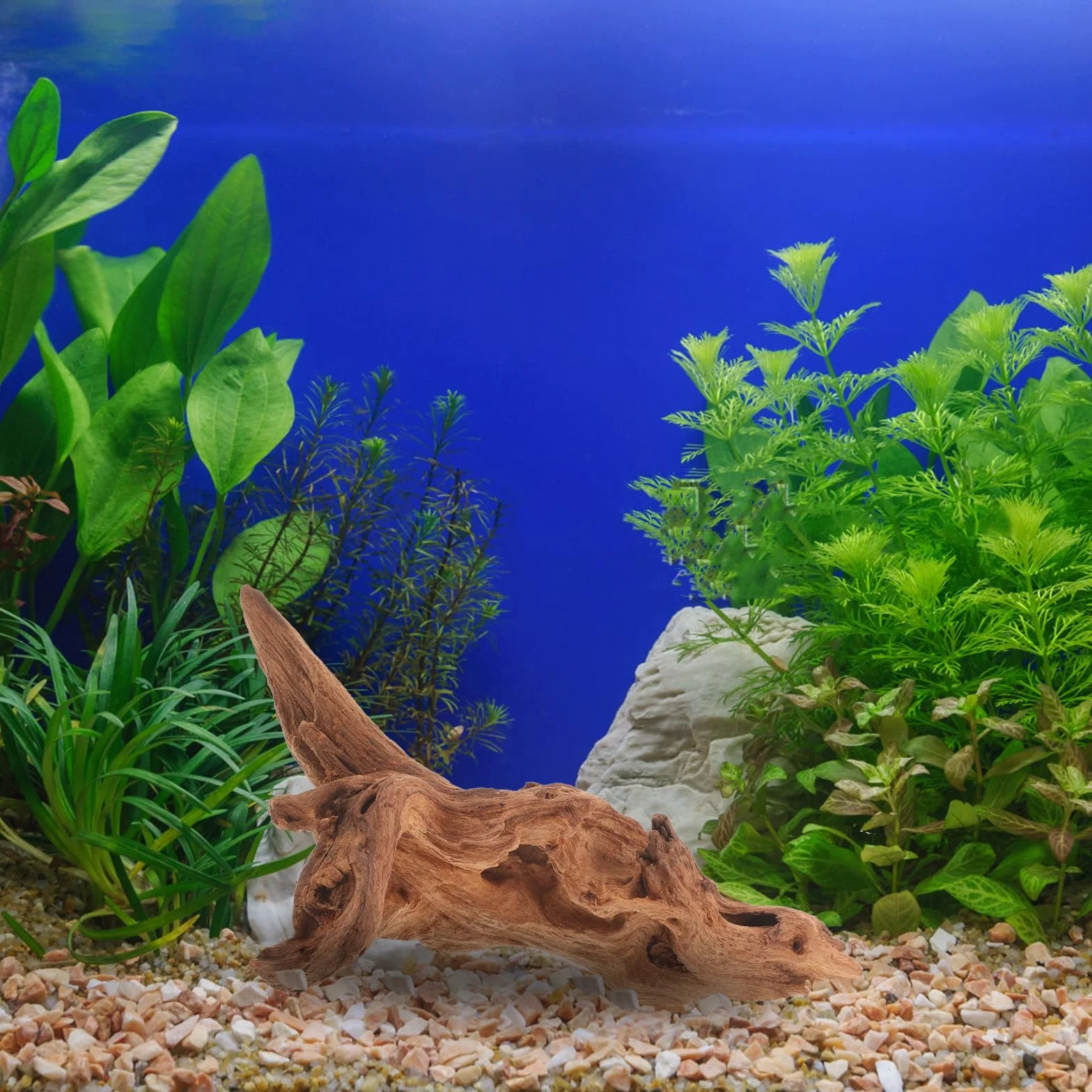 FOMIYES Legno sommerso per acquario, legno di mangrovie naturale, per acquari, legno morto per acquari, decorazioni in legno, ananas e legno morto ornamenti in legno