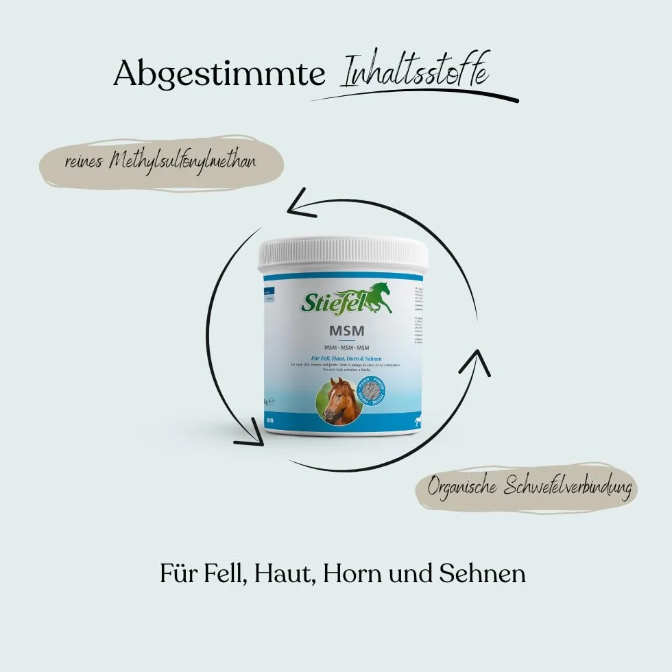 Stiefel MSM per cavalli, MSM naturale al 100%, in caso di problemi articolari, artrosi, effetto positivo sulla pelle, pelliccia, zoccolo, crescita di zoccoli, cavoli, metilsulfonilmetano ha un effetto analgesico