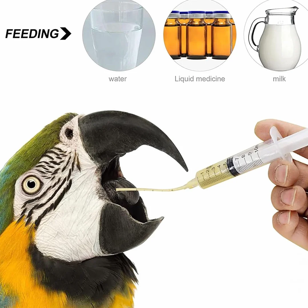 WUSJCOF 6 Pezzi Strumento per Alimentazione Manuale, Alimentatore per Pappagalli e Pulli, Tubo per Veloce, Siringhe per Uccelli Domestici Giovani,Contiene 1 tubo da iniezione da 10 ml