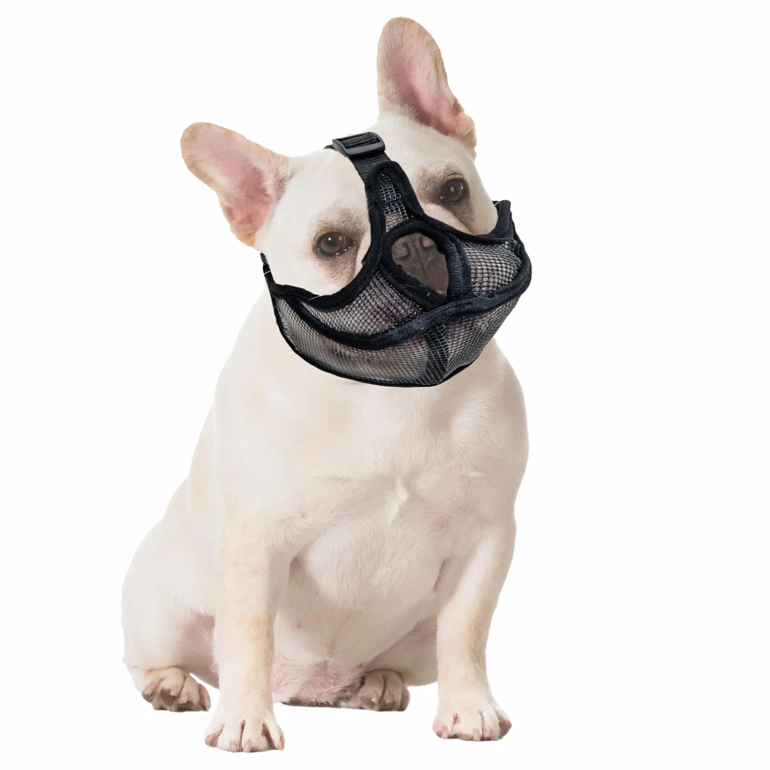 Museruola Maschera Antimorsata Piatta per Cani a Muso Breve, Bulldog Francese, Shih Tzu e Pug