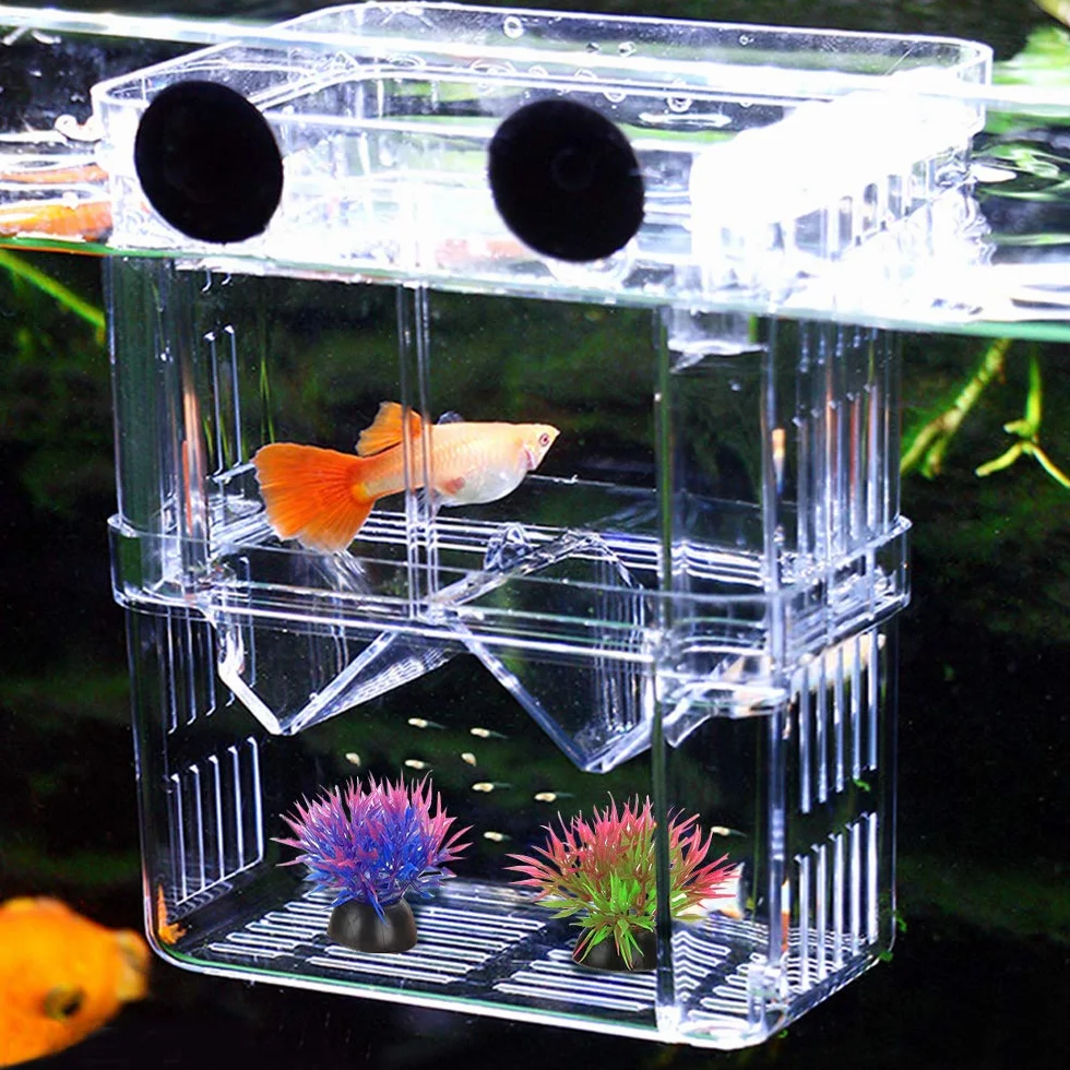NETUEM - Contenitore per allevamento pesci per acquario, nursery in acrilico isolante a doppio strato, incubatrice per guppy e pesci tropicali, con ventose, misura L