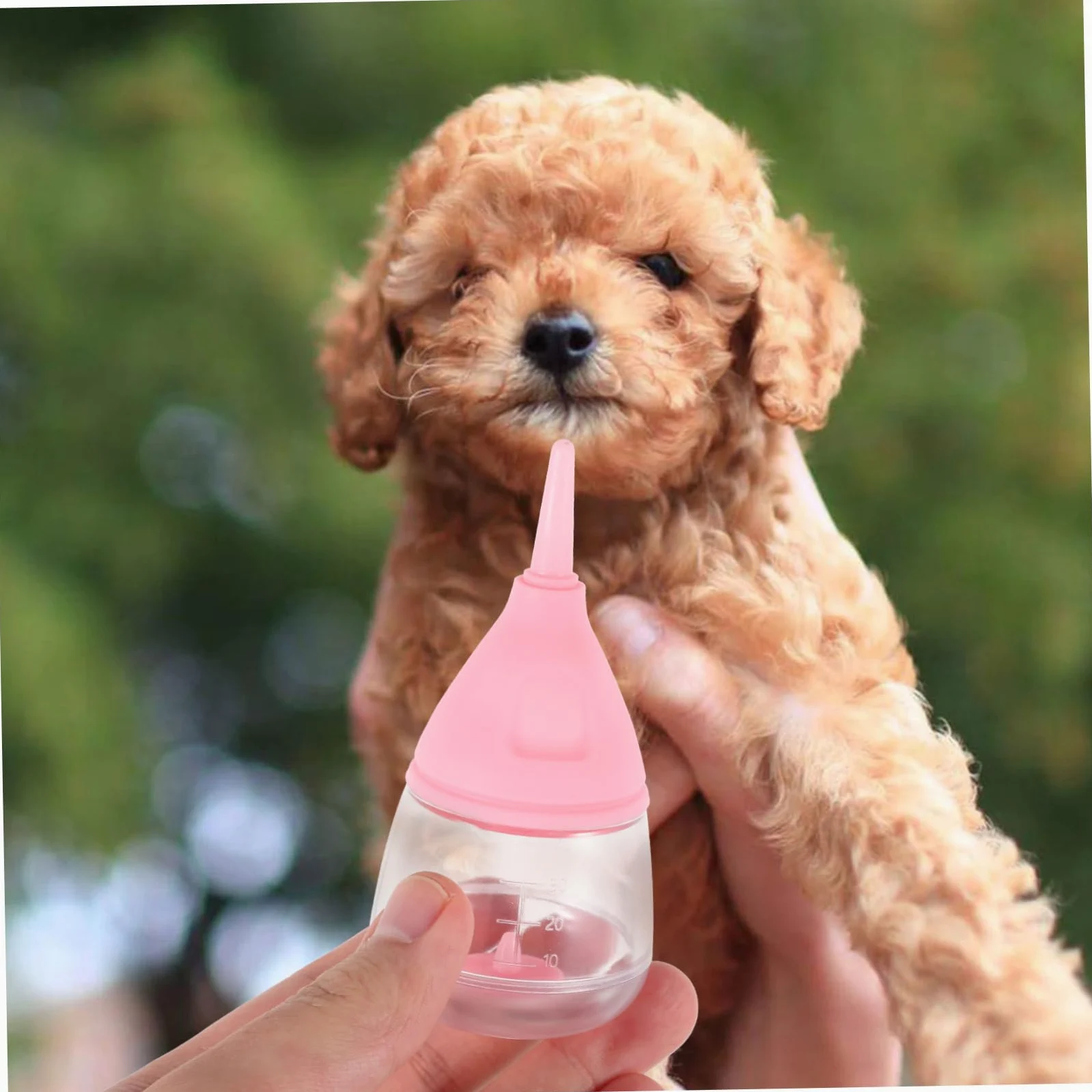 Sosoport 3pezzi Bottiglia per Allattamento per Cuccioli e Gattini Kit con Valvola Antiusura capacità Ottimale per Prevenire Sovralimentazione Materiale Sicuro e Leggero Facile da Pulire e