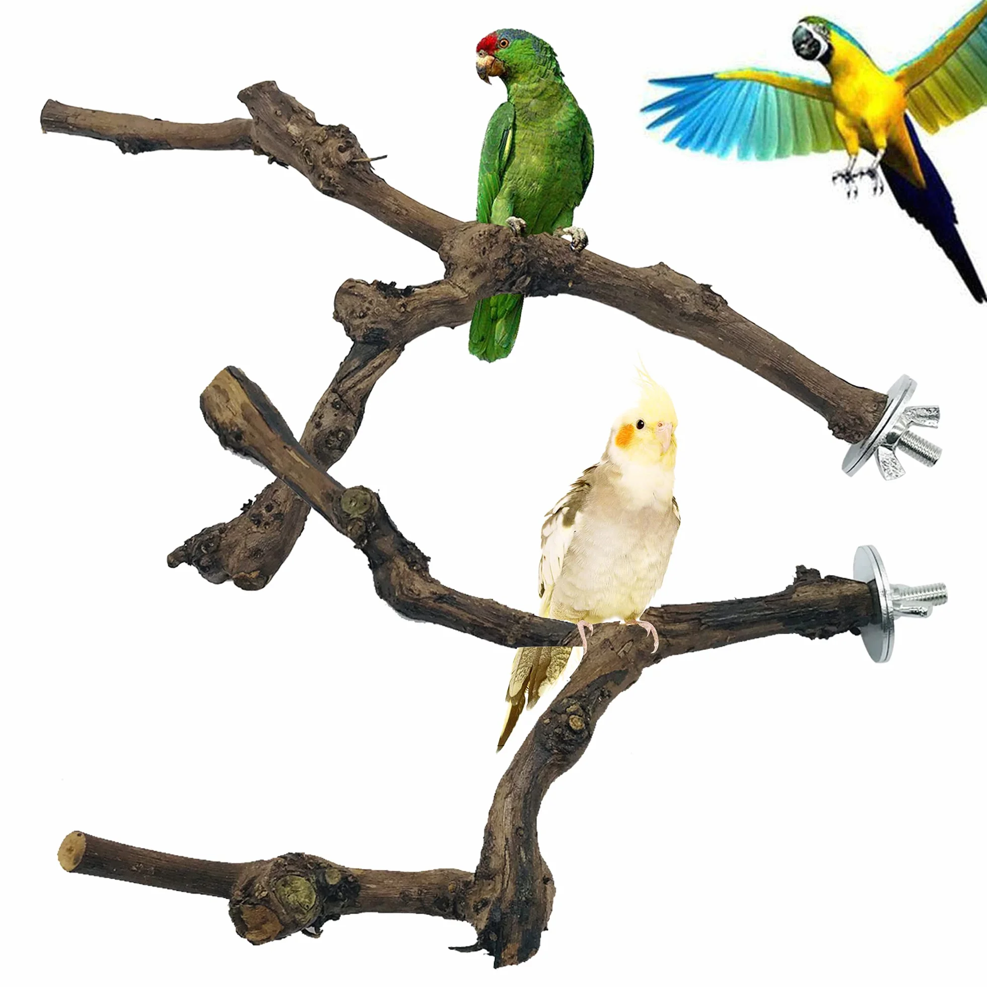 4 Pz Giocattolo per Pappagalli, Ramo D'uva Naturale Giocattolo per Uccelli, Trespolo Posatoio Supporti per Uccelli in Legno Naturale per Piccolo Medi Pappagalli