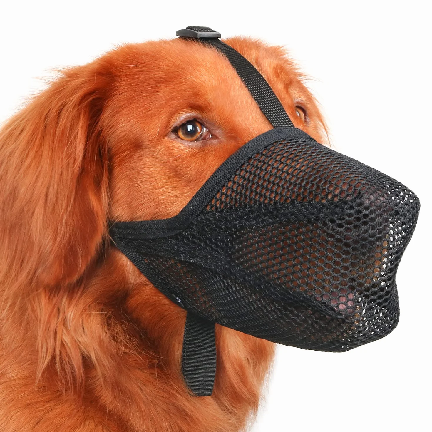 Mayerzon Museruola per cani, morbida museruola a rete per cani di taglia piccola, media e grande, regolabile, per evitare di mangiare, mordere, leccare e masticare, permette di ansimare e bere