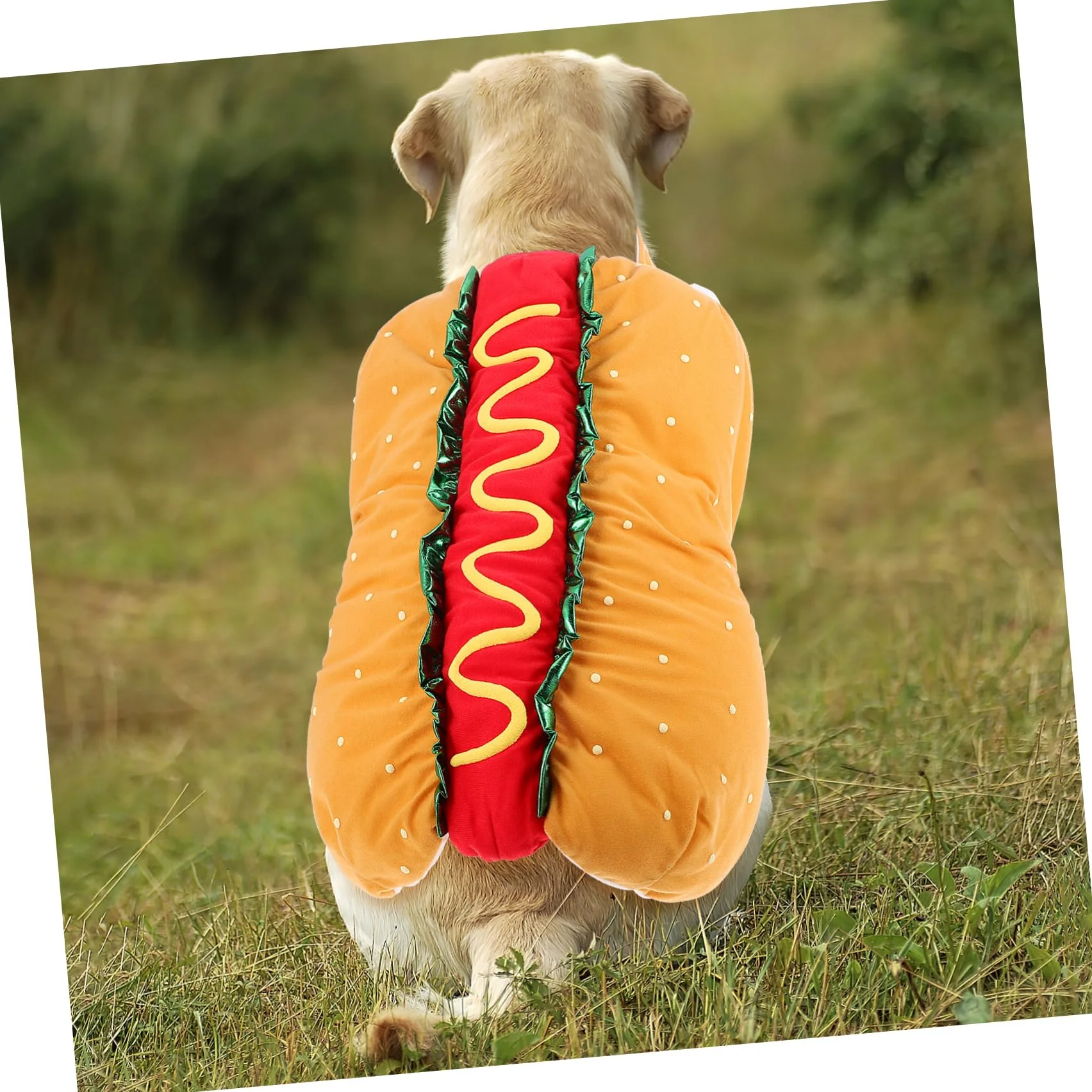 BESTonZON Costume per Animali Poliestere Leggero per Gatto e Cane Carnevale Natale