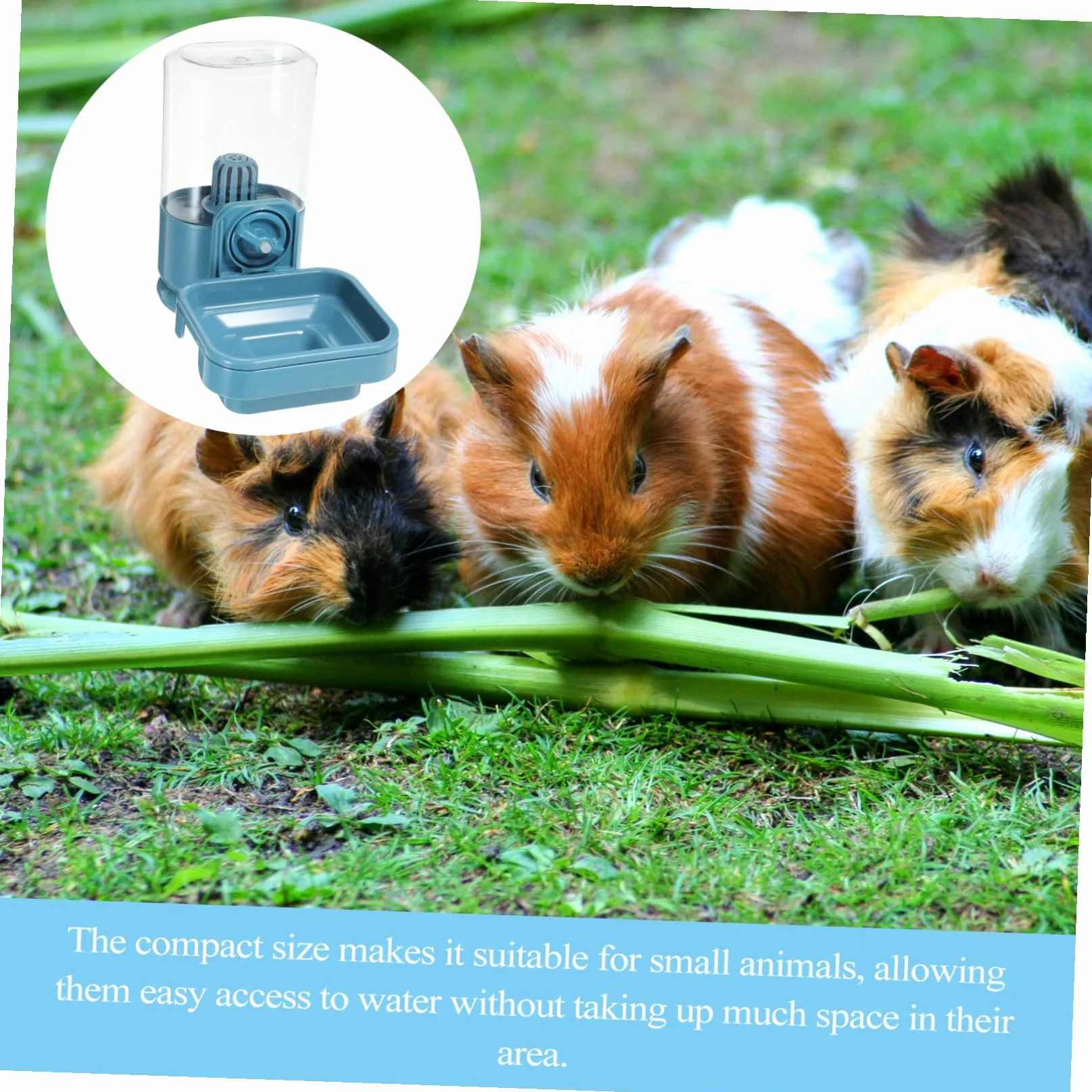 Hohopeti Distributore Liquido per Animali di Ridotta Bottiglia Antigoccia da Appendere per Gabbie Conigli e Criceti Serbatoio Capacità Media Facile da Pulire e Ricaricare Resistente e