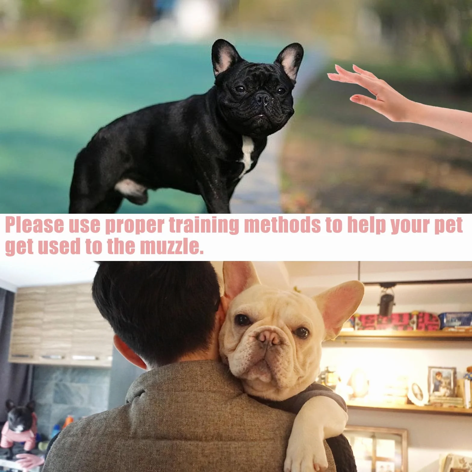 Museruola Maschera Antimorsata Piatta per Cani a Muso Breve, Bulldog Francese, Shih Tzu e Pug