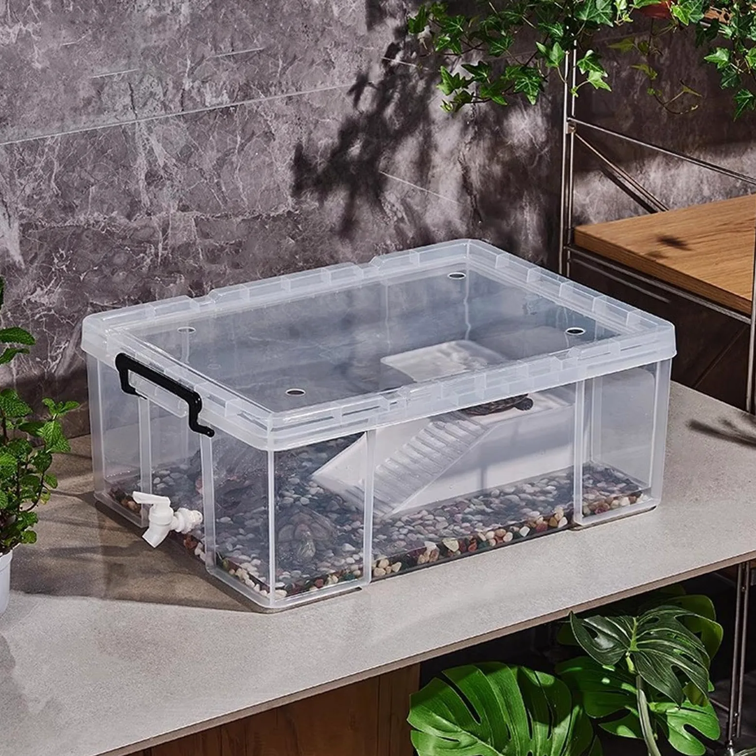 Vasca Trasparente Per Tartarughe Terrario Abitativo Trasparente per | Vasca Spaziosa Per Tartarughe Uso Interno: Casa, Camera Da , Appartamento, Dormitorio, Ufficio, Aula E Sog