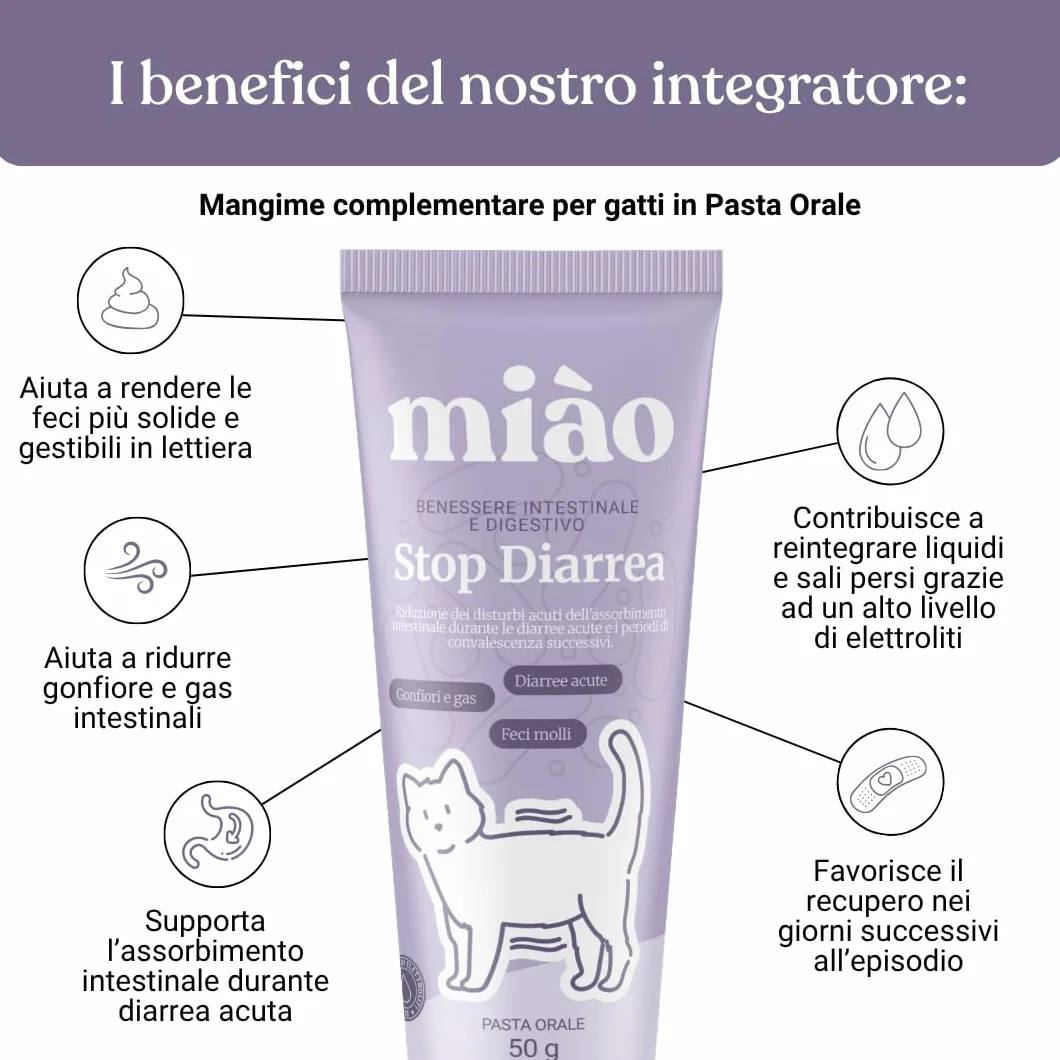 Miào Stop Diarrea Gatto Pasta – Supporto Intestinale per Diarrea Acuta, Feci più Solide, Reintegro Elettroliti e Liquidi, Pancia Gonfia, Facile Somministrazione
