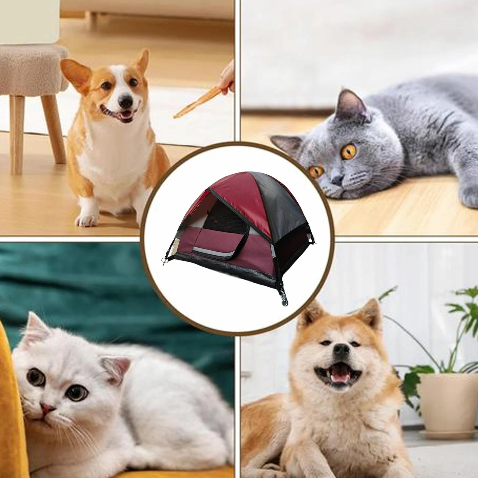 Generico Tenda da per gatti, Tenda da per gatti da campeggio per | Tenda per gatti impermeabile Tenda per animali domestici da esterno per cuccioli, cani, animali di piccola taglia