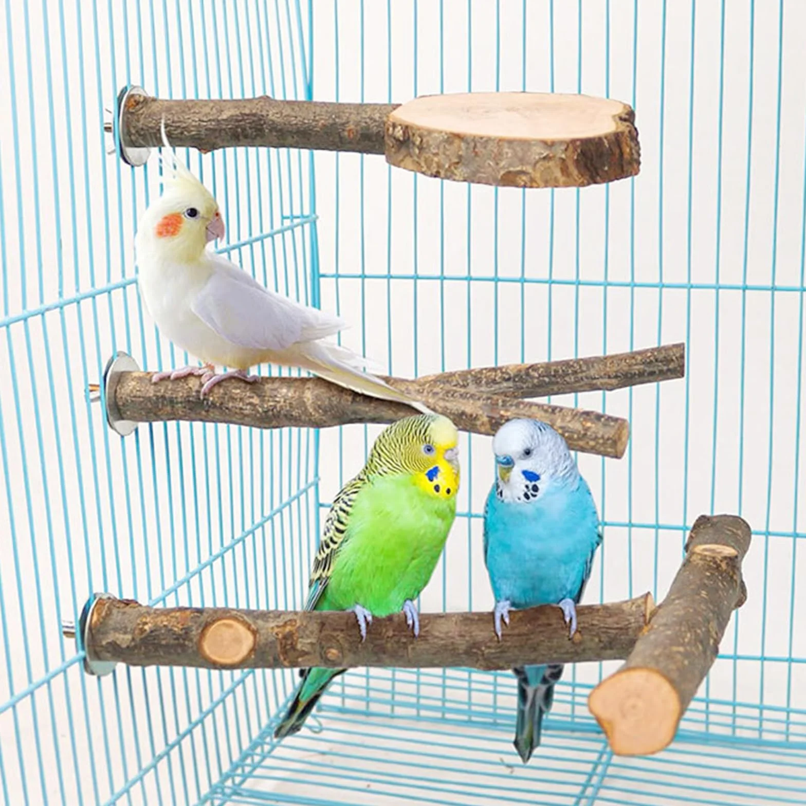 7 Pz Posatoi per Pappagalli, Posatoi Naturali Accessori per uccelli, Giochi per Pappagalli Giocattoli per Pappagalli Accessorio per Gabbia per Uccelli per Cacatua, Parrocchetto