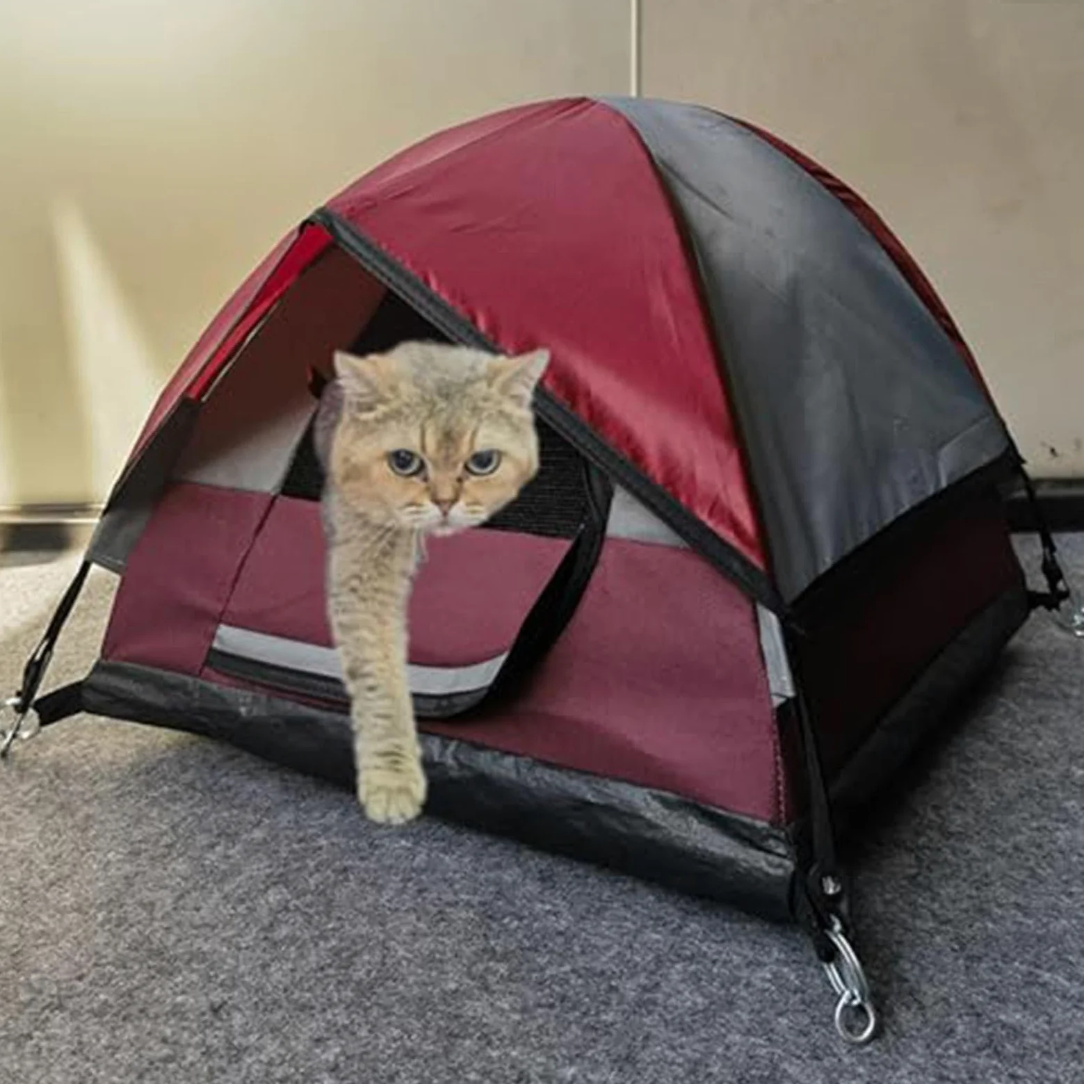 Generico Tenda da per gatti, Tenda da per gatti da campeggio per | Tenda per gatti impermeabile Tenda per animali domestici da esterno per cuccioli, cani, animali di piccola taglia