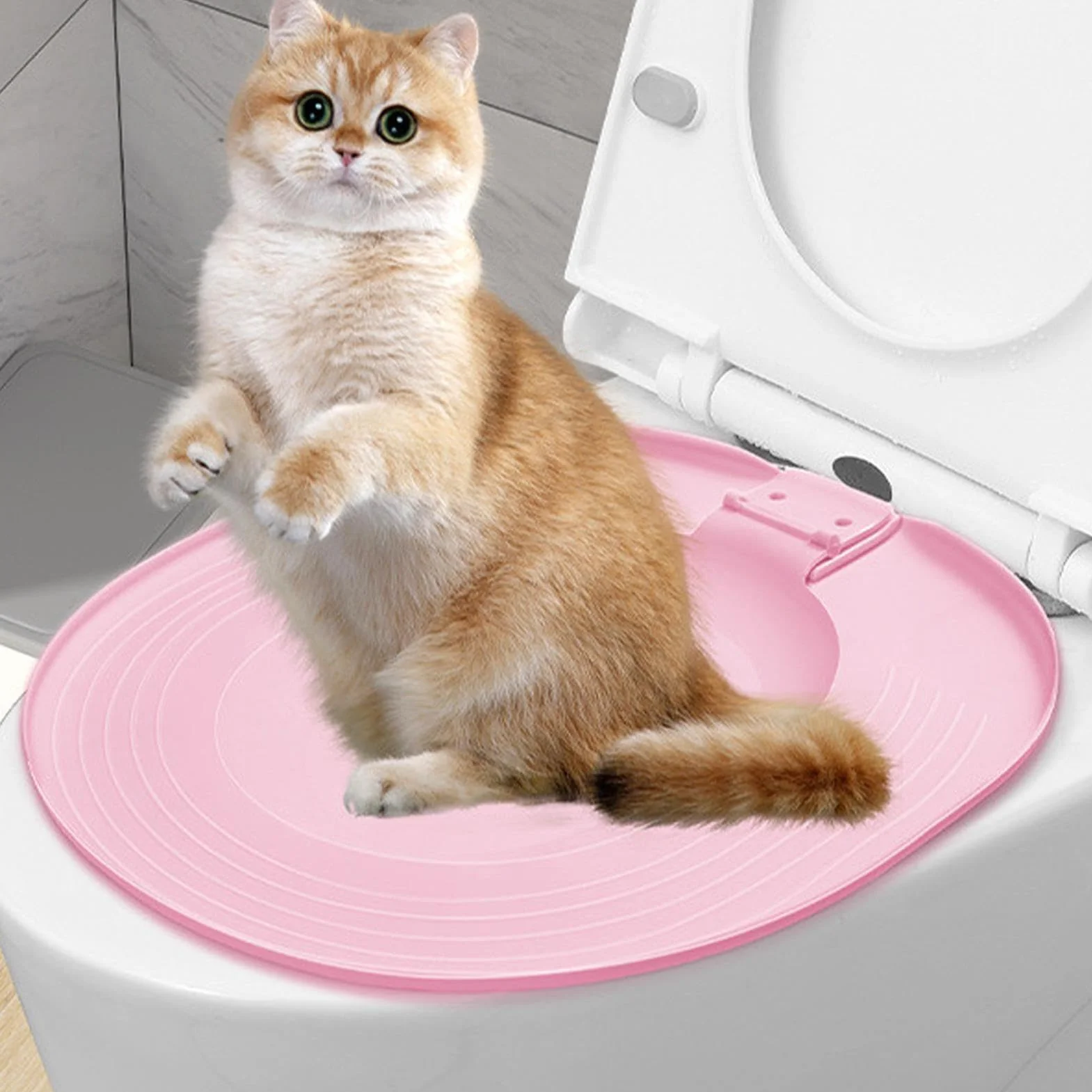 Allenatore del gatto da gabinetto Allenatore del gabinetto, bidet | dei gatti: con il design innovativo e igienico e adatto ai gatti del nostro set di di gatti da toilette, c