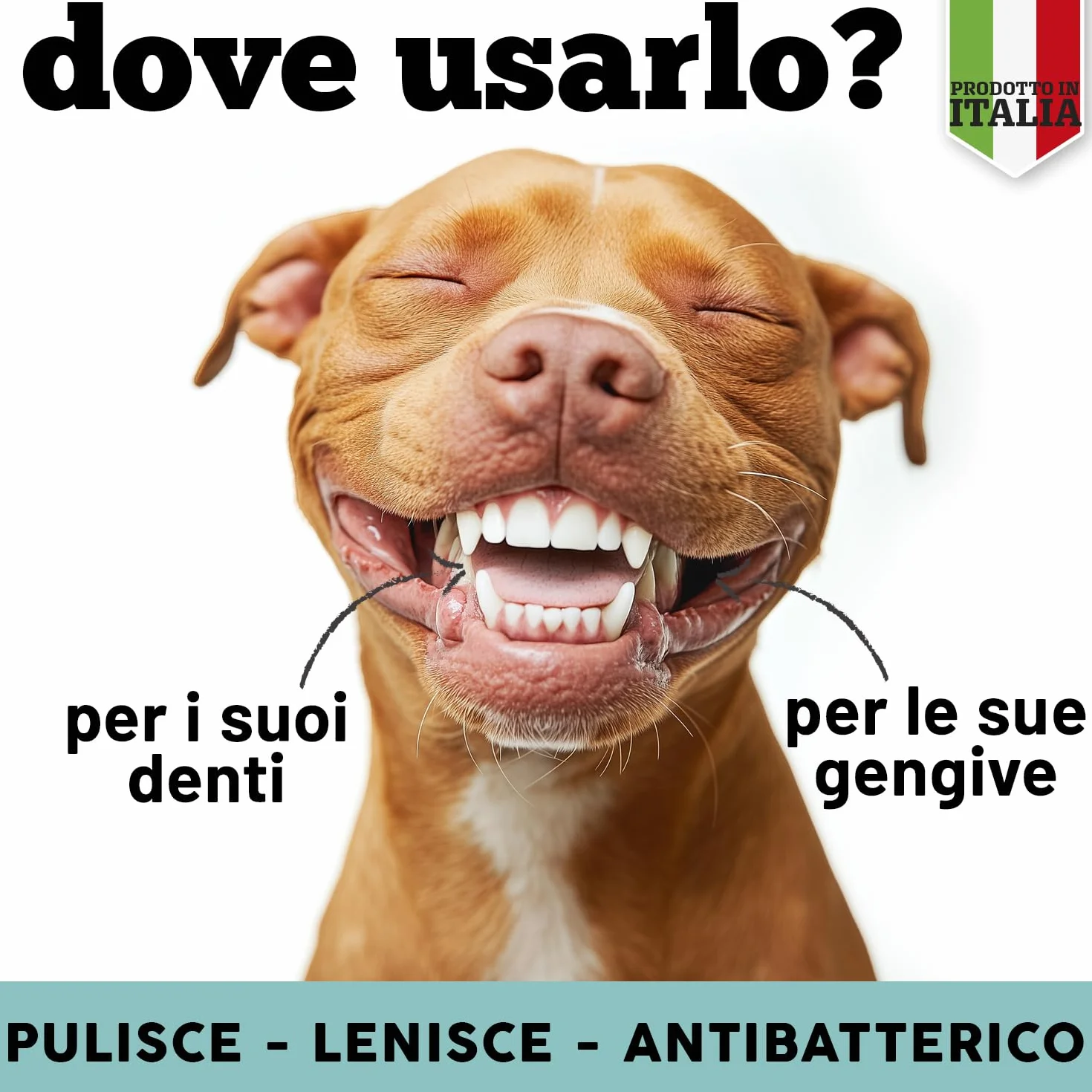 MyPetPrime Dentifricio per Cani Spray con Argento Citrato e Arginina 100 ml