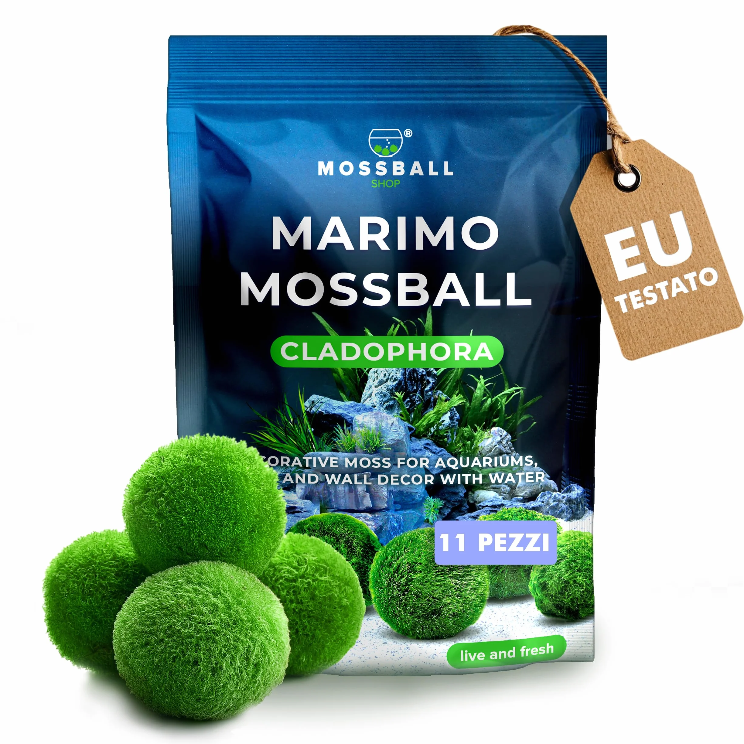 Marimo Alga Viva - 21 - Alga Palla Naturale per Acquario Piante Vere Acquario Acqua Dolce Ecosistema Autosufficiente Marimo Regalo, Moss Ball 2-4 cm per Nano e Grandi Acquari
