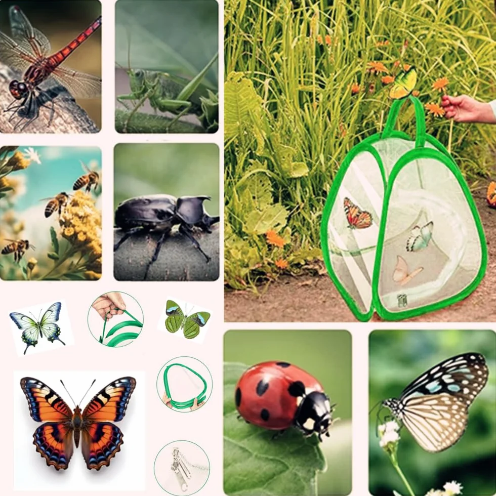 Farfalle Habitat - Gabbia a rete per bambini, 2 pezzi di insetto e farfalla