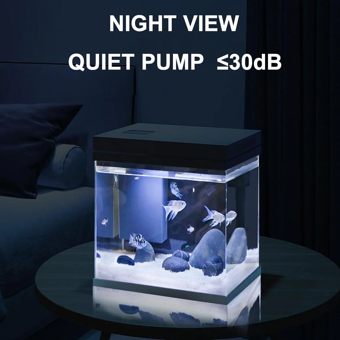 Acquario in vetro nano da 10 l per pesci - Con sistema di luce e filtro - Modello impermeabile e senza detersivo (10 l)