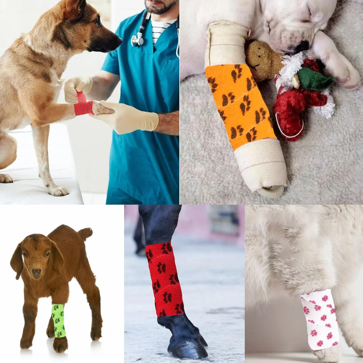 Benda autoadesiva per Animali Domestici, 12 Rotoli Bendaggio Coesivo Adesivo Bende Non Tessuto, Comodo e Traspirante, Coloratocon Benda Motivo Zampe Benda per Persone e Animali (5 cm x 4,5 m)