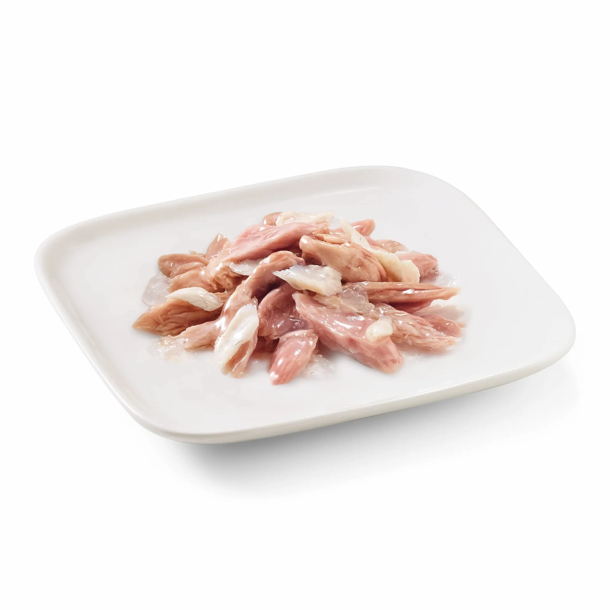 Schesir, Cibo Umido per Cani Adulti con Spigola e Tonnetto, in Morbida Gelatina (24 Lattine da 85g)