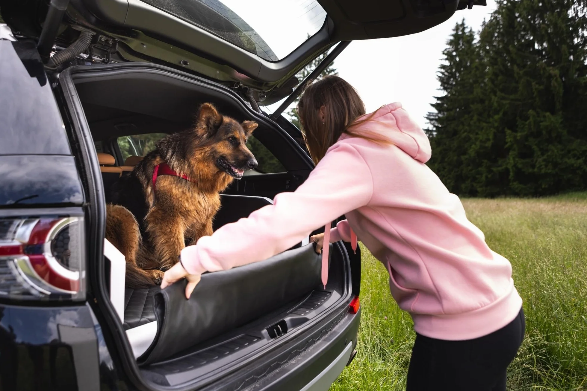 Velinda Trasportino Auto per Cani Materasso Bagagliaio Letto Macchina Cintura 90x55cm (Colore: Nero)