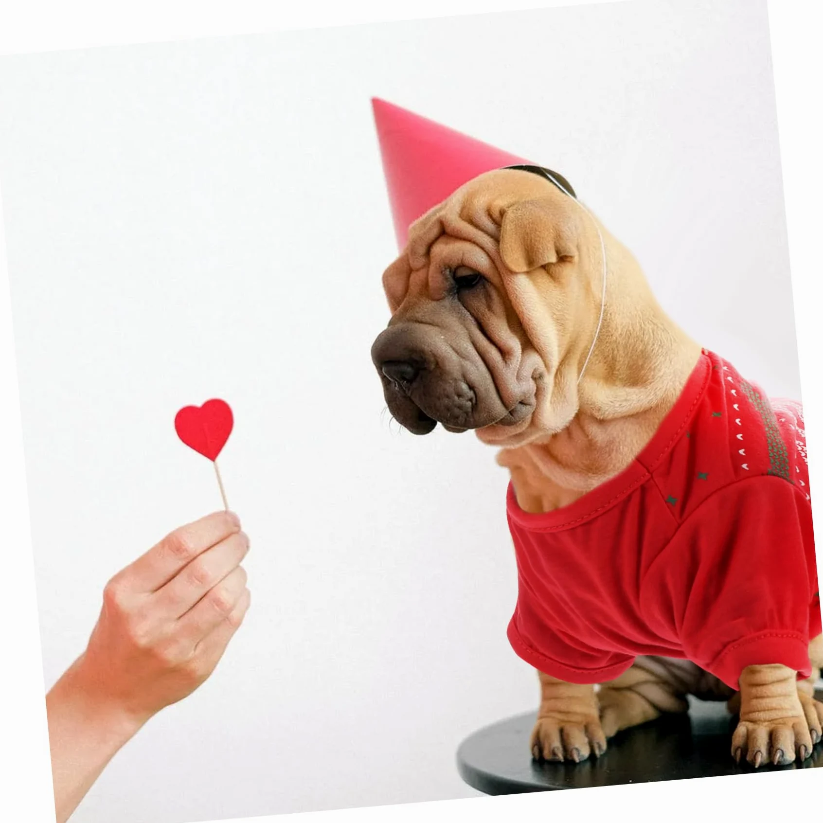 HMJGDHX 2 Pezzi di Vestiti per Cani con Motivo Natalizio T-Shirt per Animali Domestici Adorabile per Occasioni di Festa