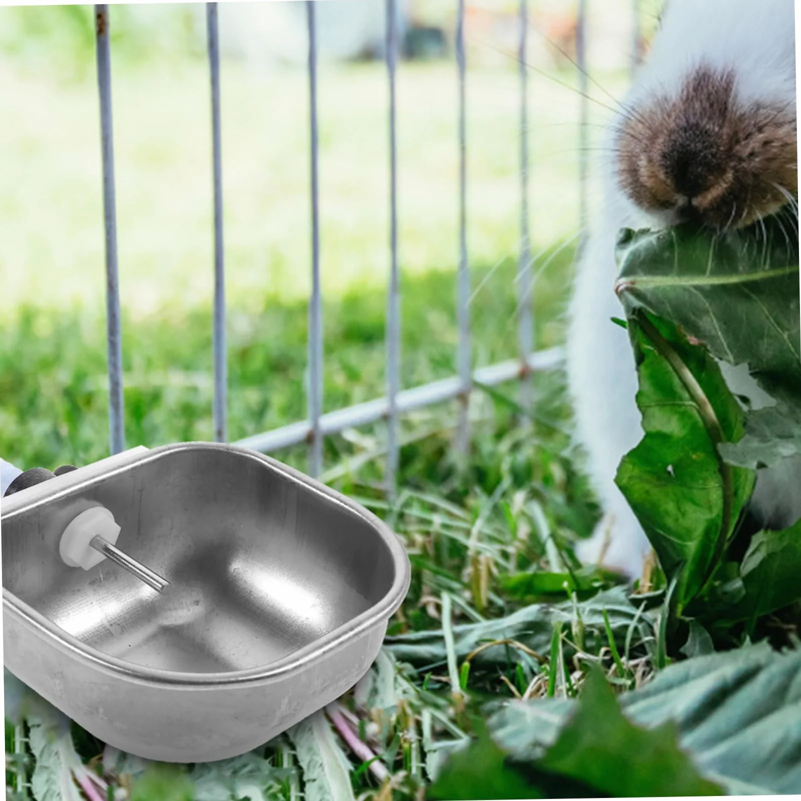 VANZACK 6pezzi Distributore Automatico Per Conigli Ciotola Inossidabile Da Facile Da Installare e Utilizzare Per Gabbie Di Piccoli Animali Domestici