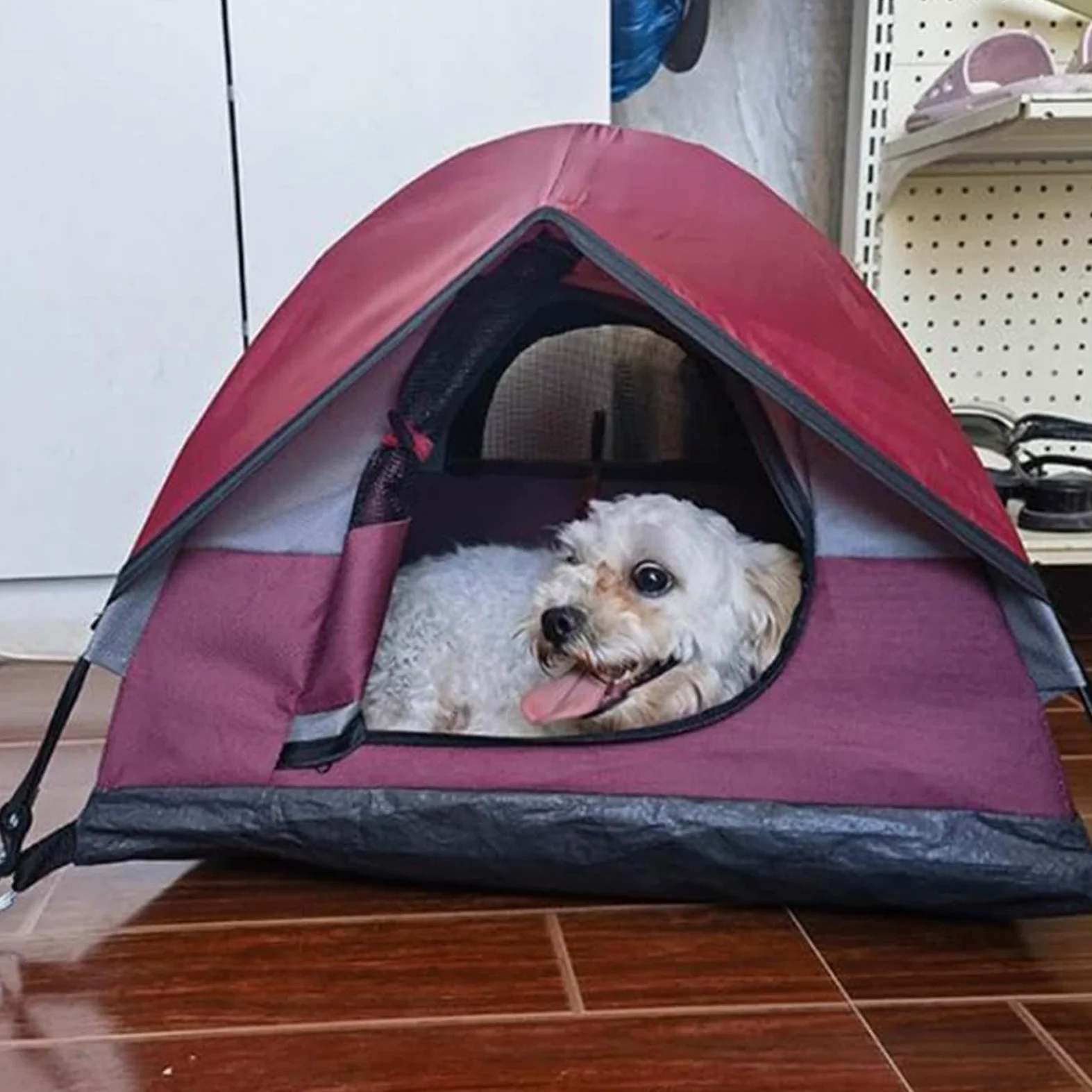 Generico Tenda da per gatti, Tenda da per gatti da campeggio per | Tenda per gatti impermeabile Tenda per animali domestici da esterno per cuccioli, cani, animali di piccola taglia