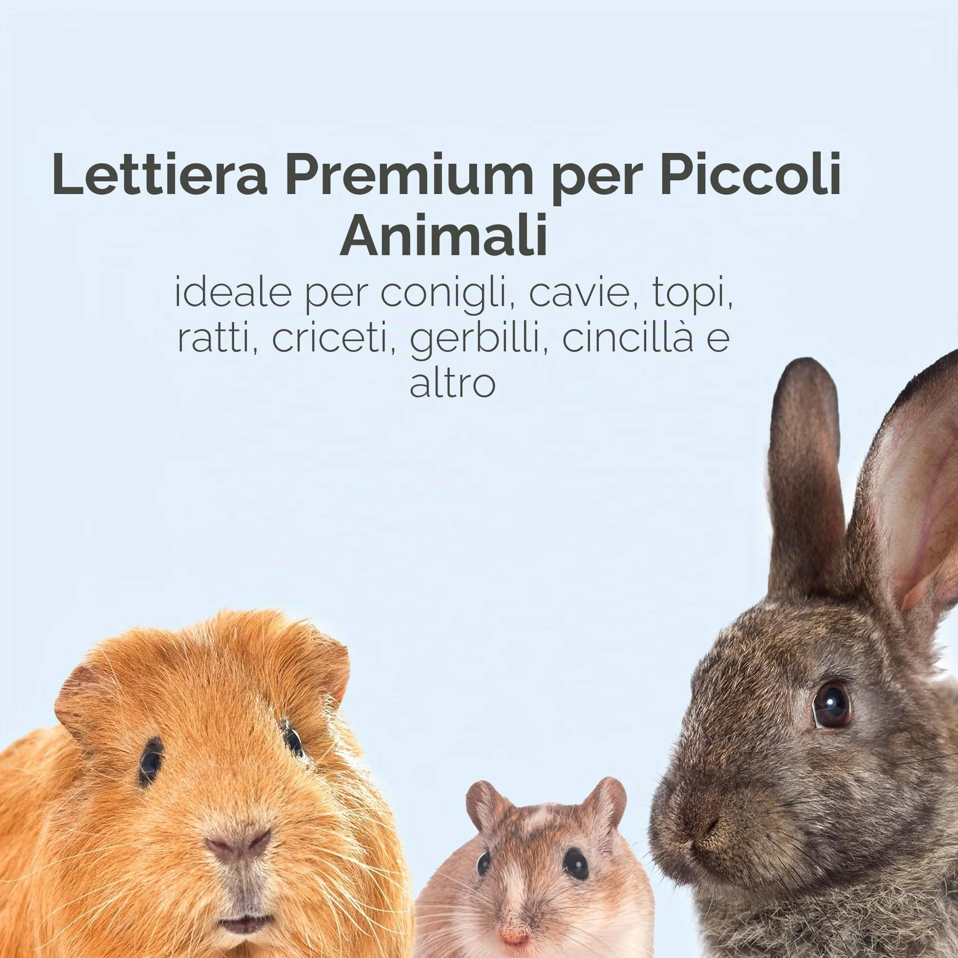 KAYTEE Superpet | Lettiera Clean & Cozy per Piccoli Animali/roditori/criceti | Bianco | 99,9% priva di Polvere | Controllo degli odori | 49,2 Litri
