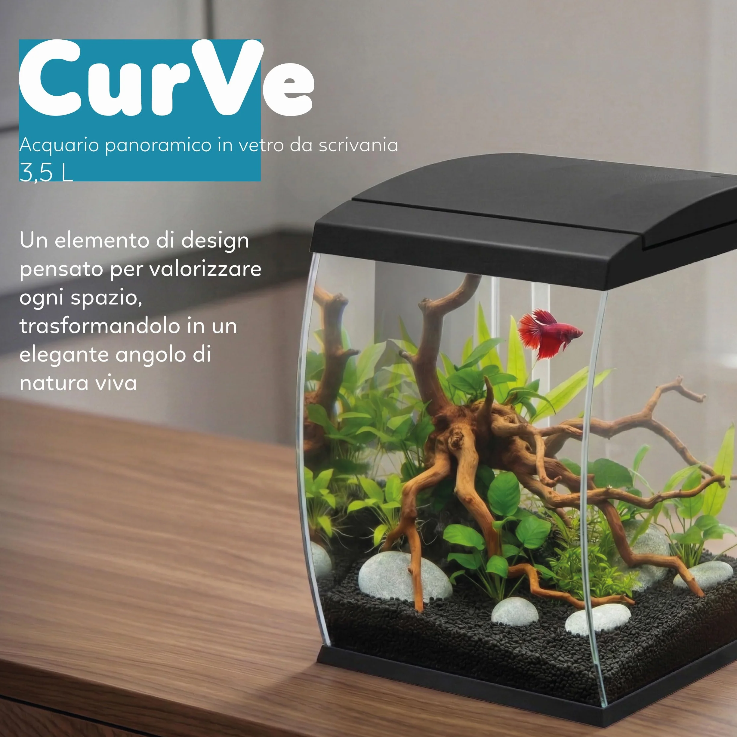AQPET CurVe Acquario in Vetro Curvo 35L con Filtro Superiore Integrato e LED 6W – Acquario di Design da Scrivania con Pompa Inclusa e Coperchio per Distributore Automatico Mangime (Nero)