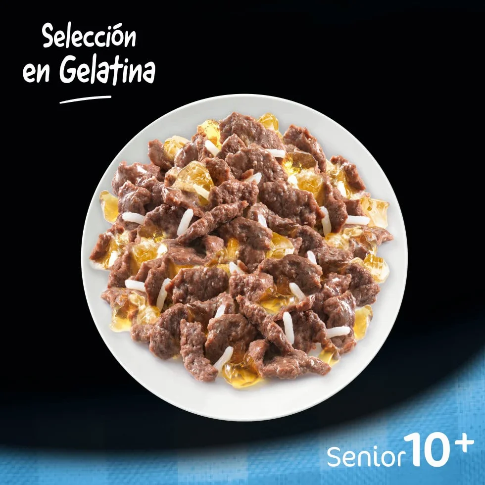 Cesar 10+ Senior - Selezione in Gelatina 13 x (4 x 100g)