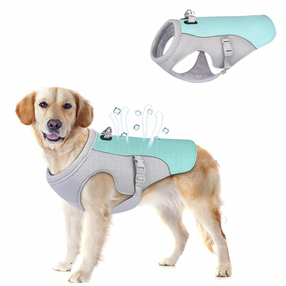 Voarge Gilet Rinfrescante per Cani, Giubbotto Leggero, Giubbotto Riflettente e Sicurezza per Cani di Piccola e Media Taglia, Protezione UV, Taglia S