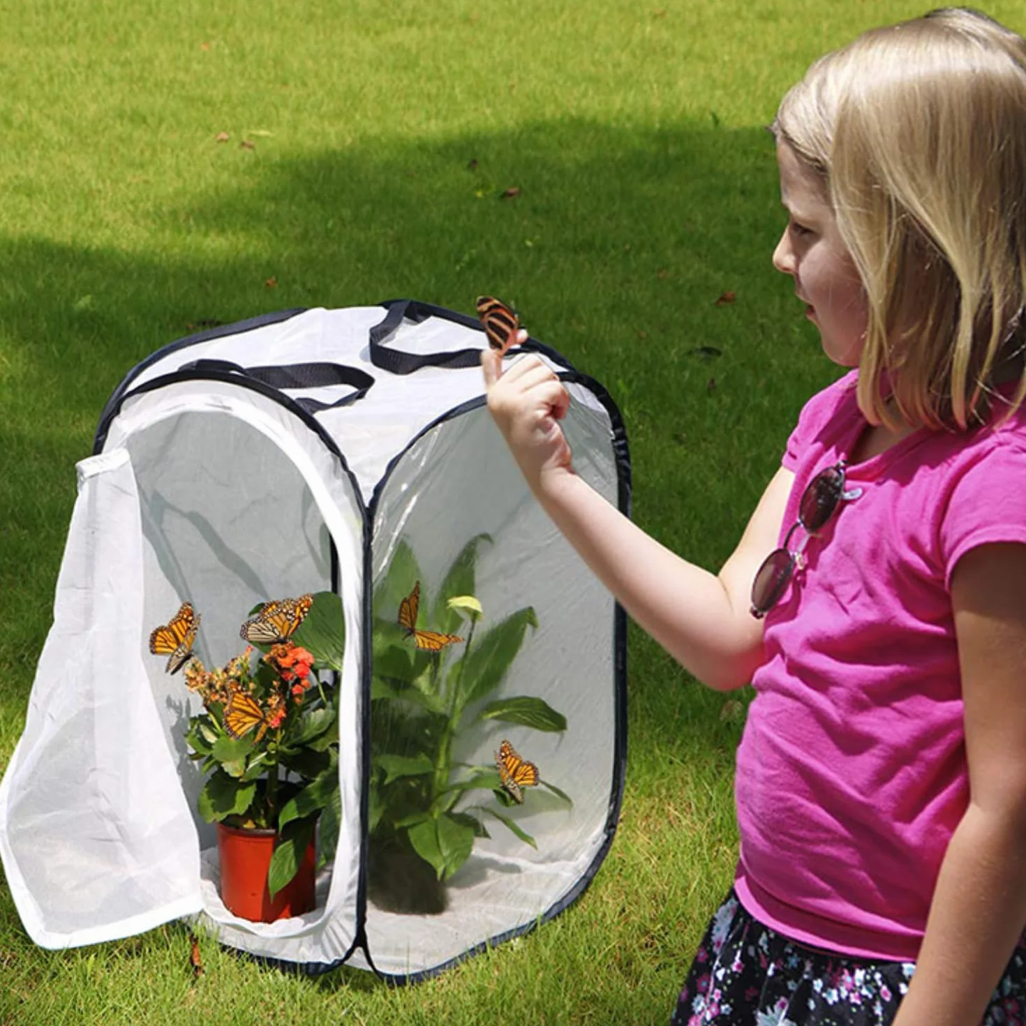 MEISH Insetto Farfalla Habitat Portatile Caterpillar Farfalla Habitat Insetto Mesh Cage Pieghevole Pop-up Insetto Monarca Net per Insetti