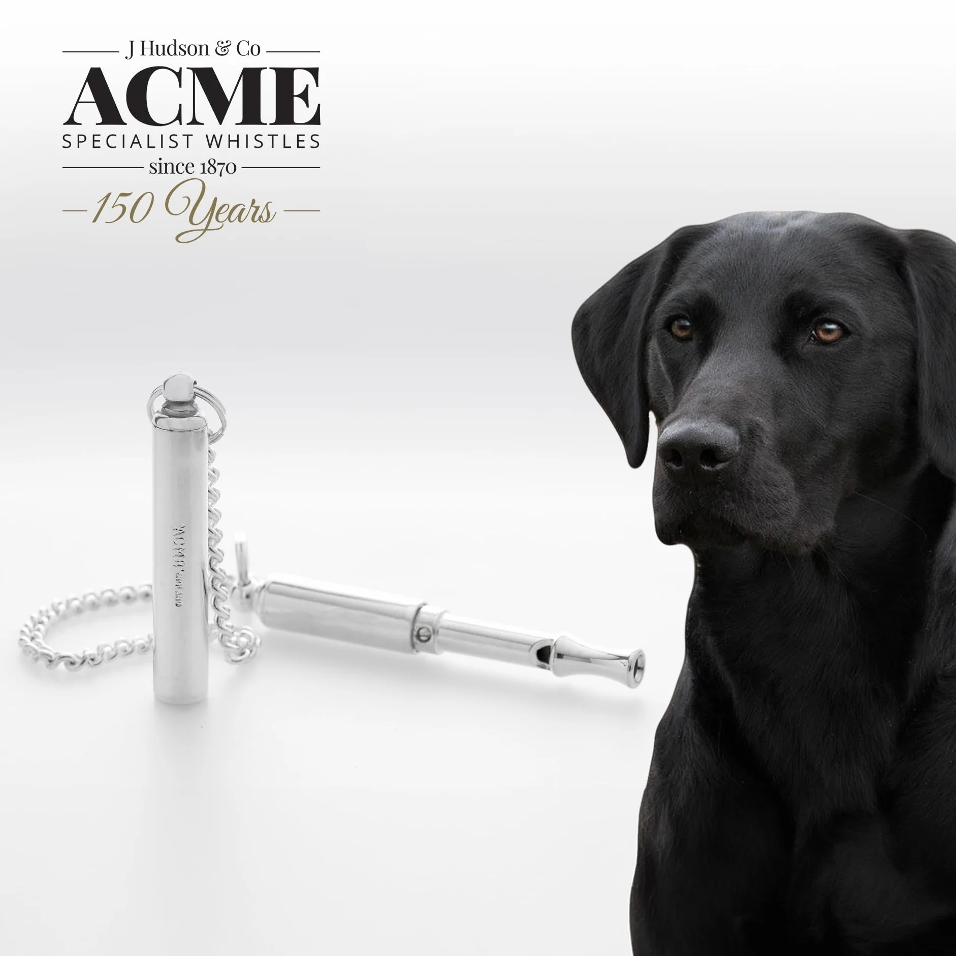 Acme, Fischietto Silenzioso per Cani, per addestramento e comportamento