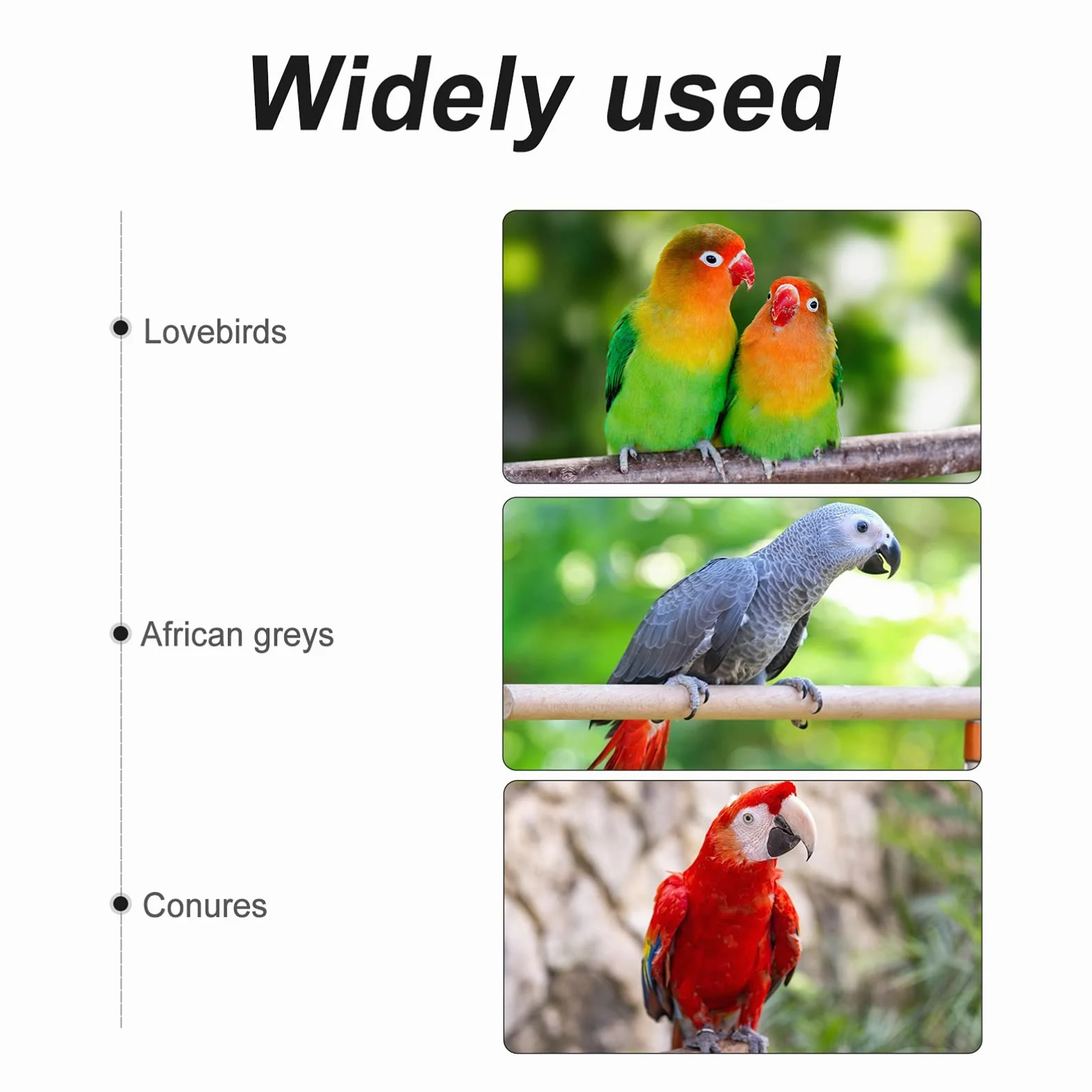 POPETPOP 3pezzi Altalena Per Uccelli Naturale Giocattolo Da Appendere Per Pappagalli Cockatiel e Inseparabili Accessorio Per Cage Con Struttura Resistente e Duratura