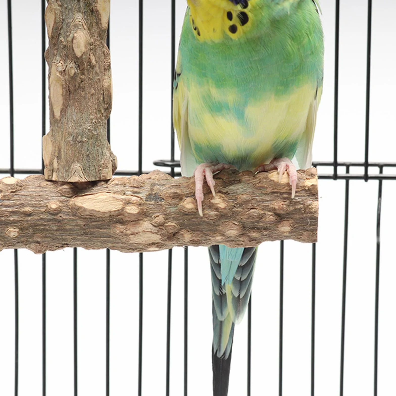 7 Pz Posatoi per Pappagalli, Posatoi in Legno per Cacatua e Parrocchetto
