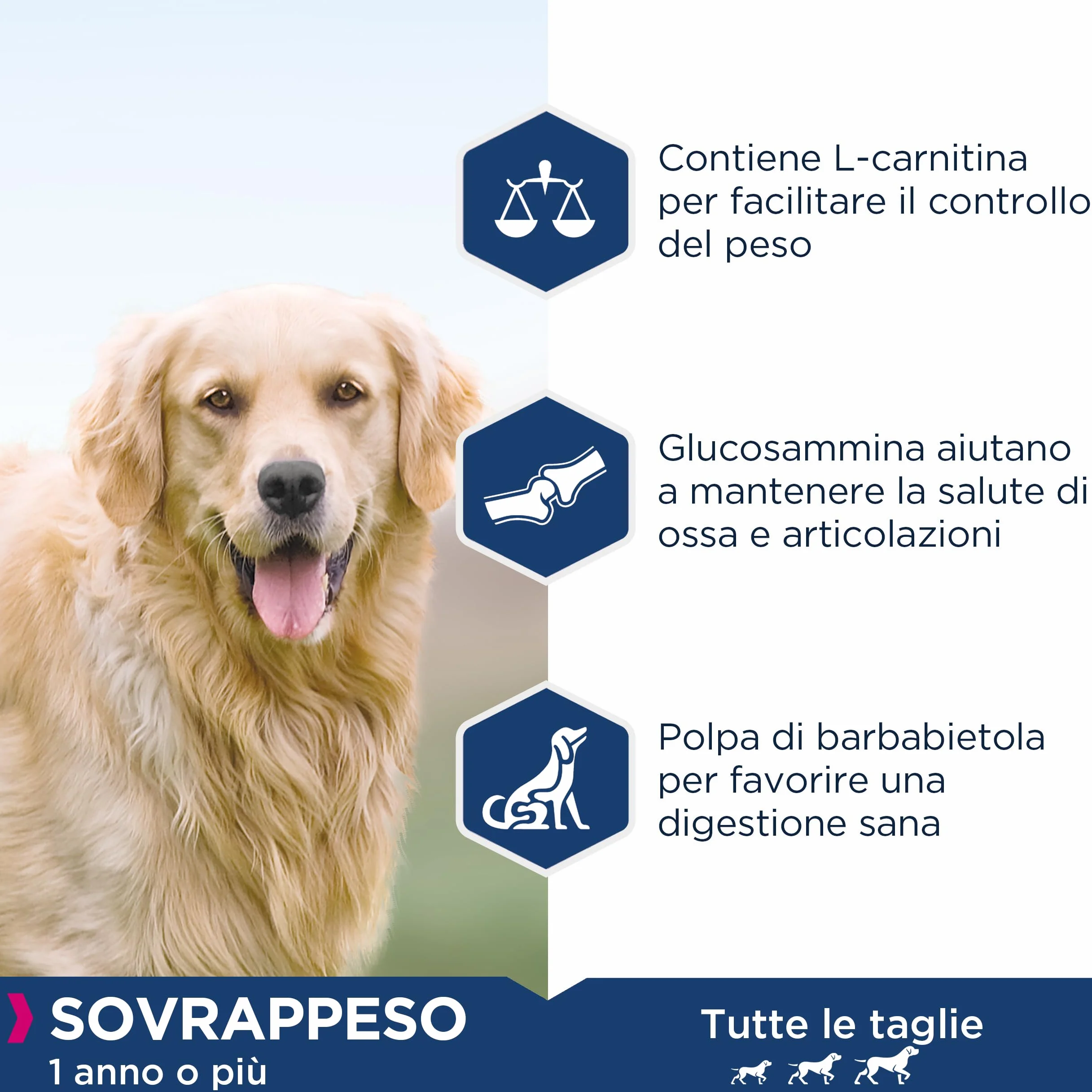 Eukanuba Daily Care Alimento Secco per Cani Adulti in Sovrappeso e Sterilizzati 12 kg