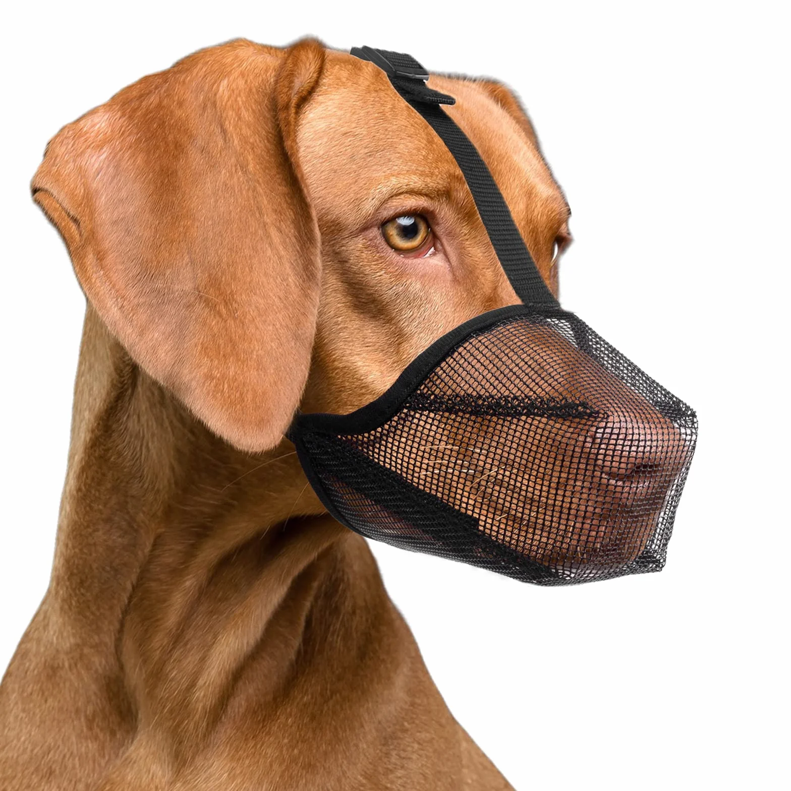 Museruola per Cani con Maglia Arrotondata, Museruola Traspirante per Cani Piccoli Medi Grandi, Impedisce di Masticare, Rosicchiare e Mordere(L, Nero)