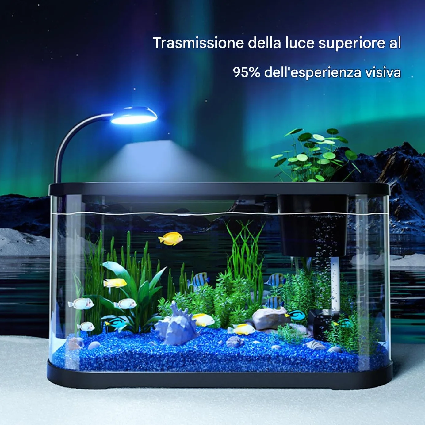 Kit Acquario Generico | Acquario Per Principianti - Vaso Decorativo Per Betta E Tartaruga